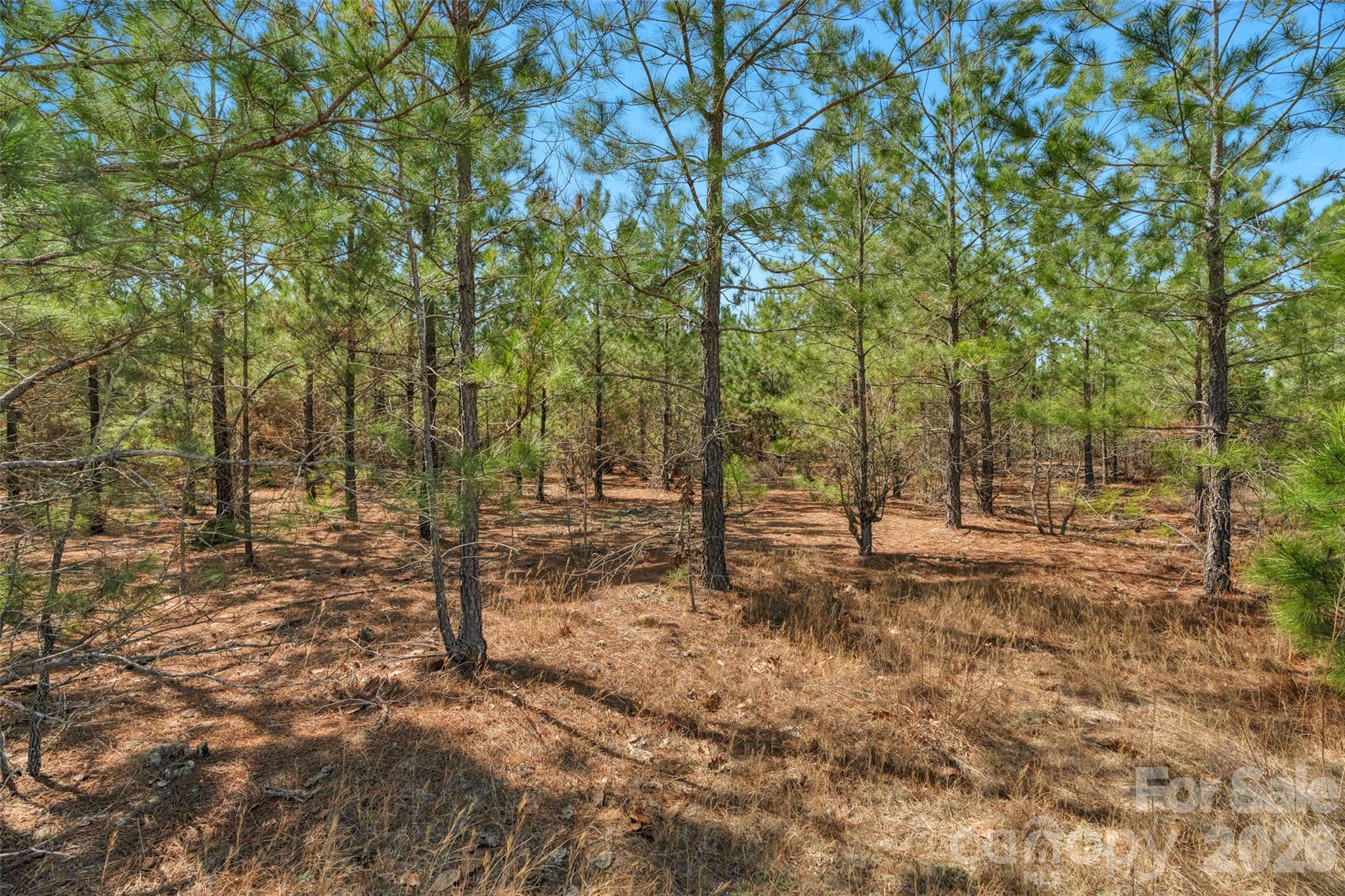 931 Charlie Johnson Road 2 Property Photo 15