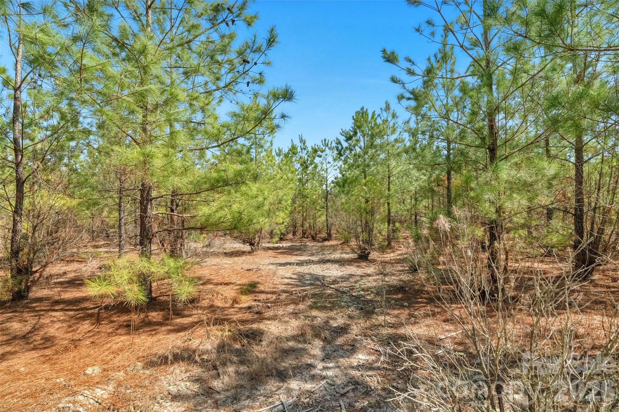 931 Charlie Johnson Road 2 Property Photo 19