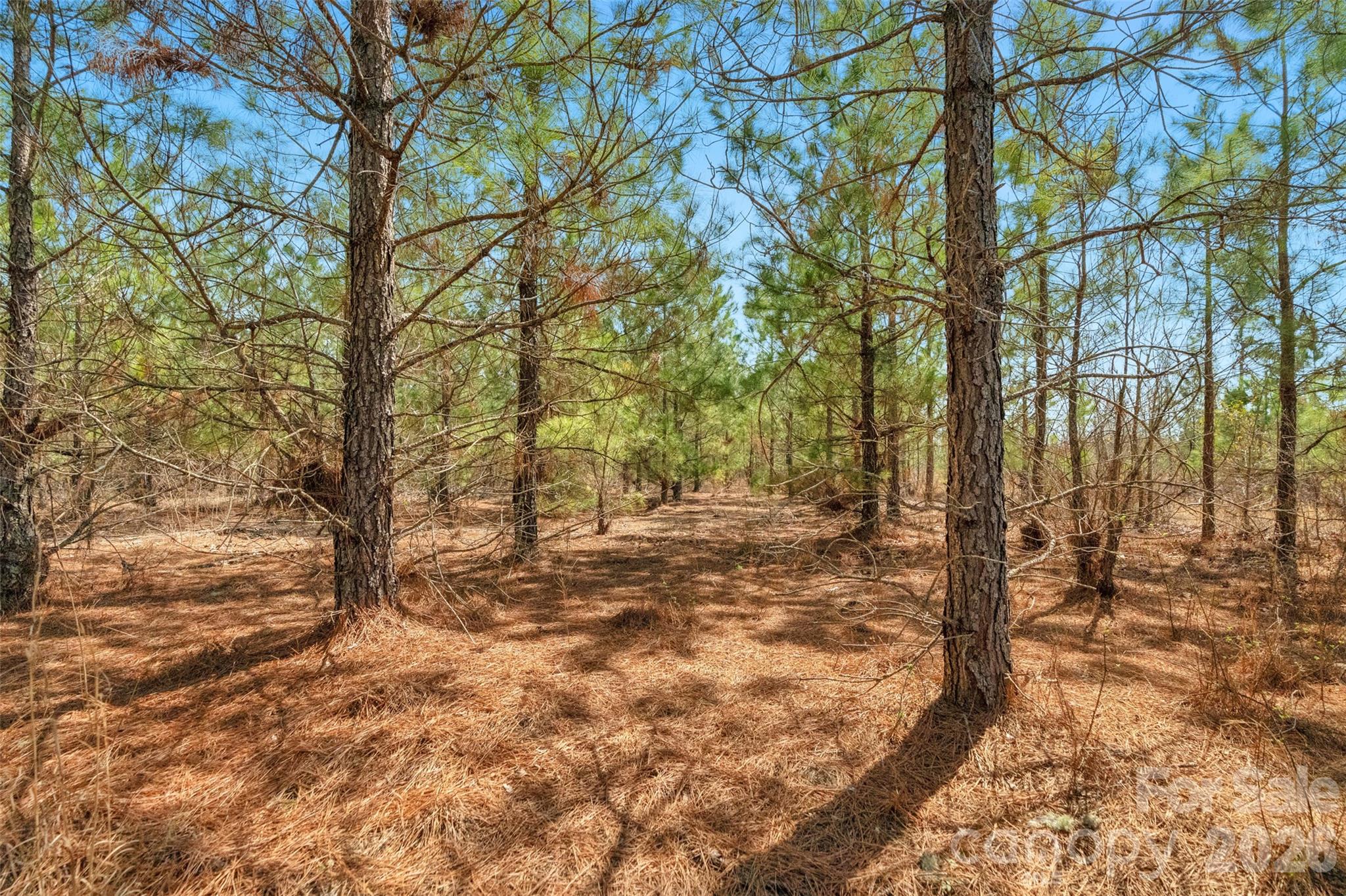 931 Charlie Johnson Road 2 Property Photo 20