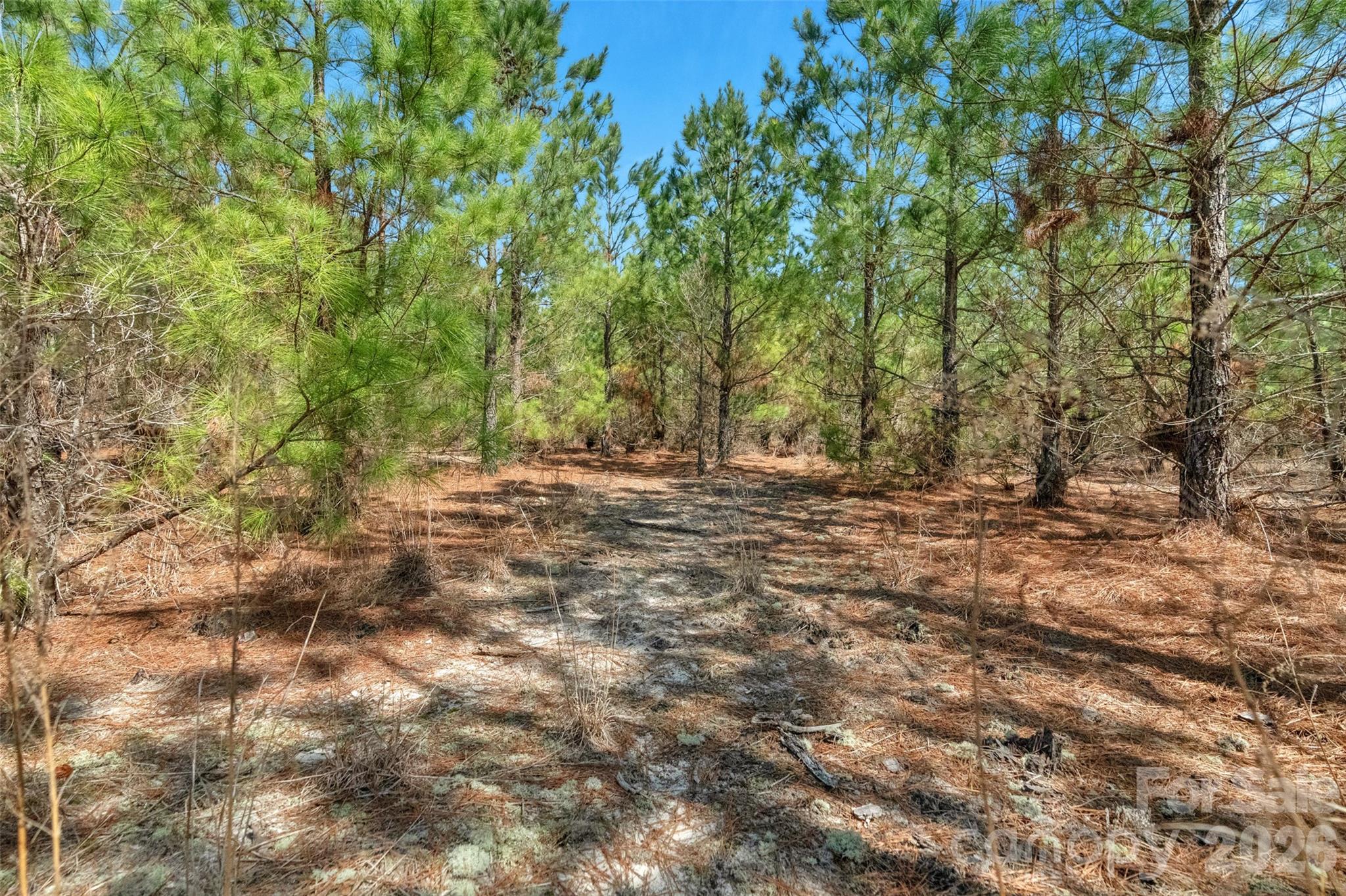 931 Charlie Johnson Road 2 Property Photo 22