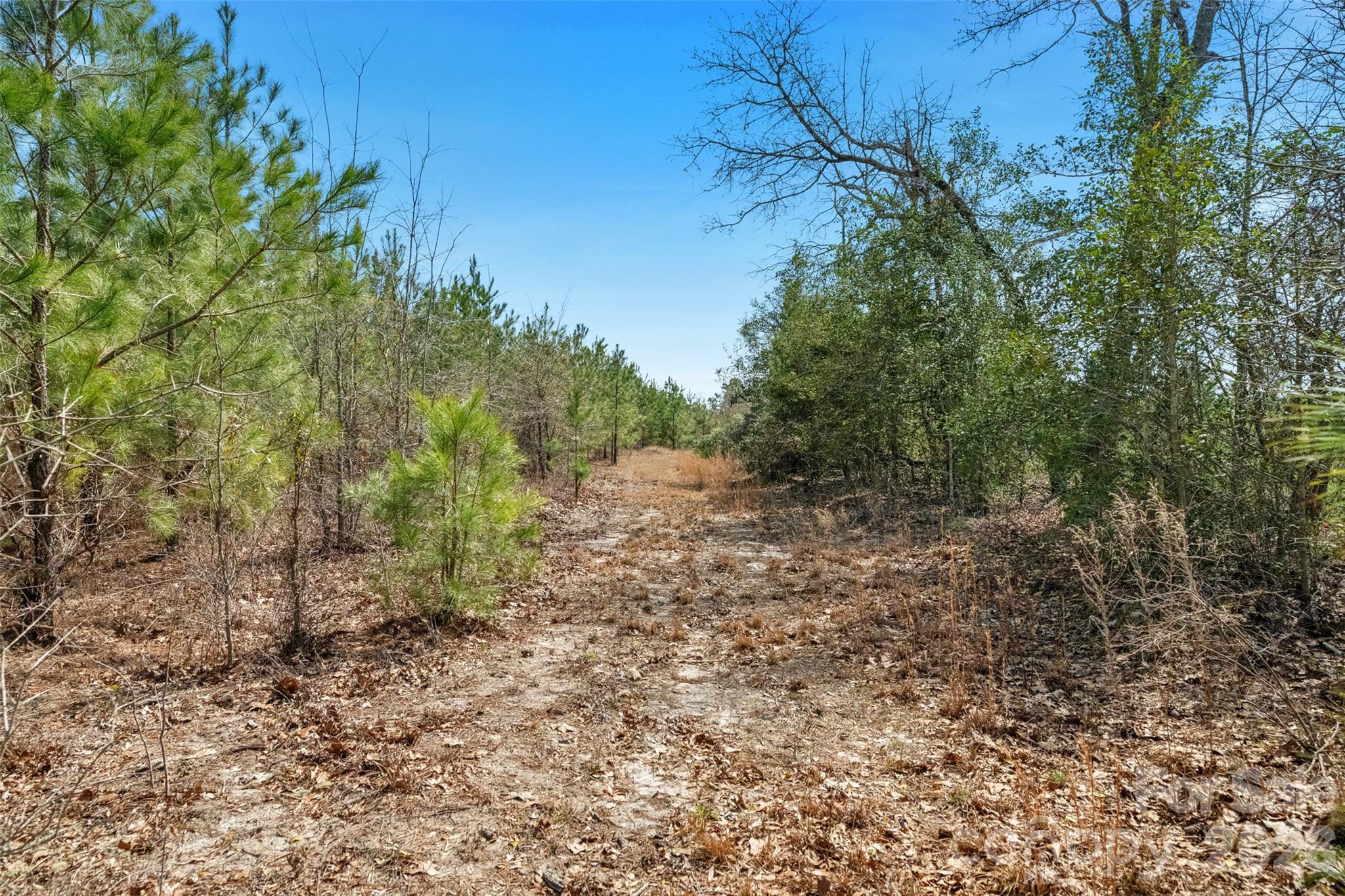 931 Charlie Johnson Road 2 Property Photo 23