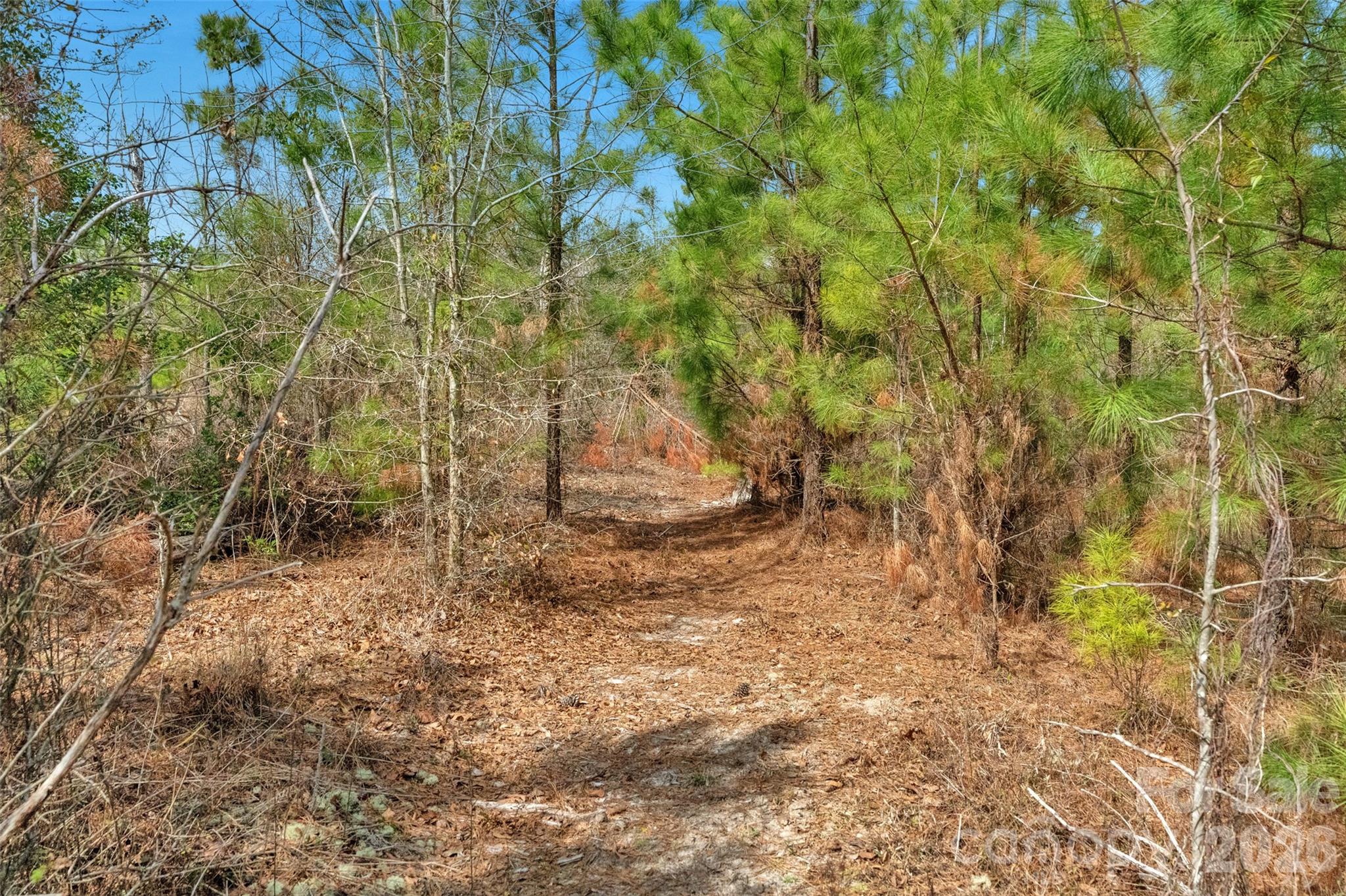 931 Charlie Johnson Road 2 Property Photo 24
