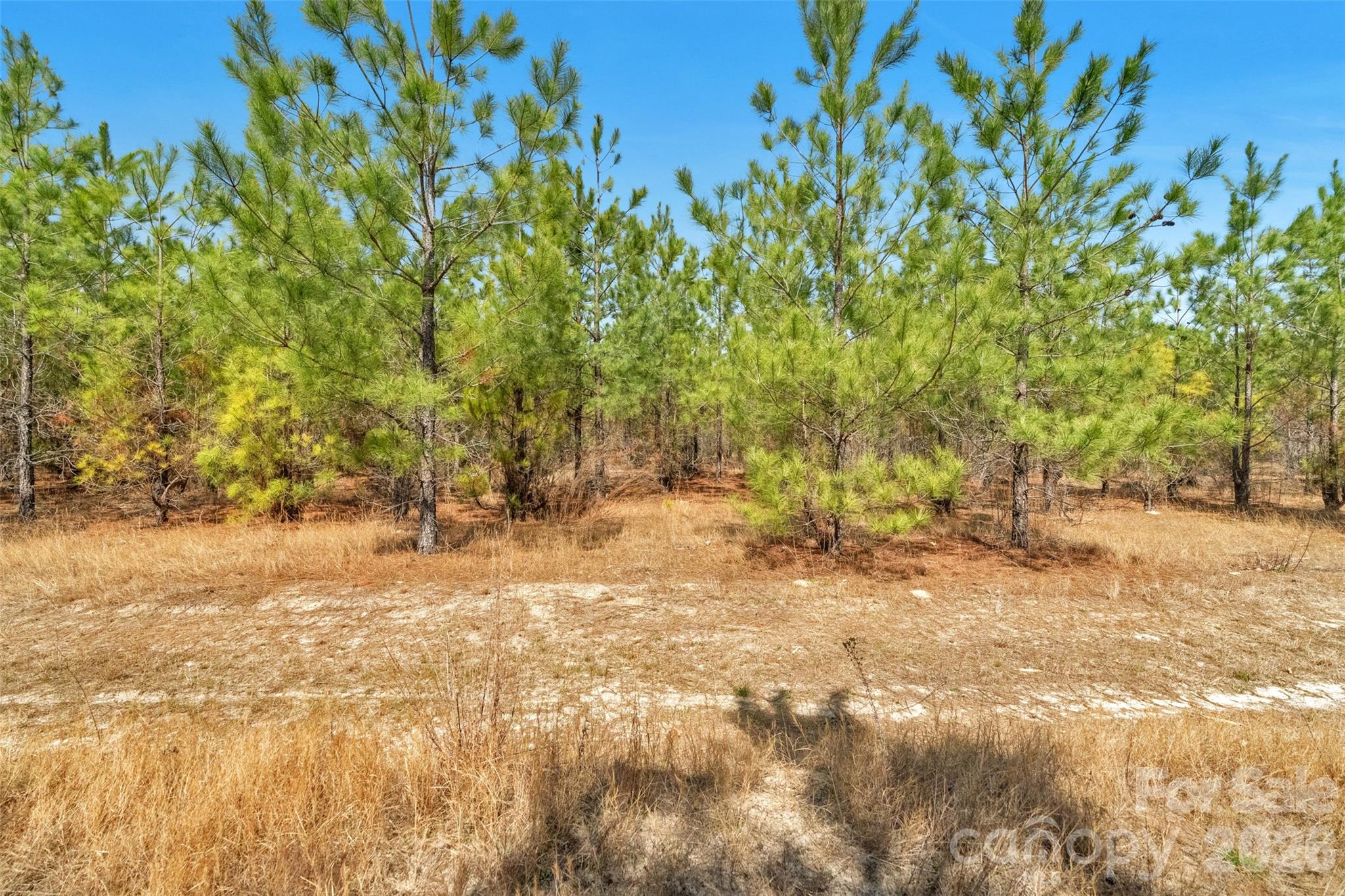 931 Charlie Johnson Road 2 Property Photo 25