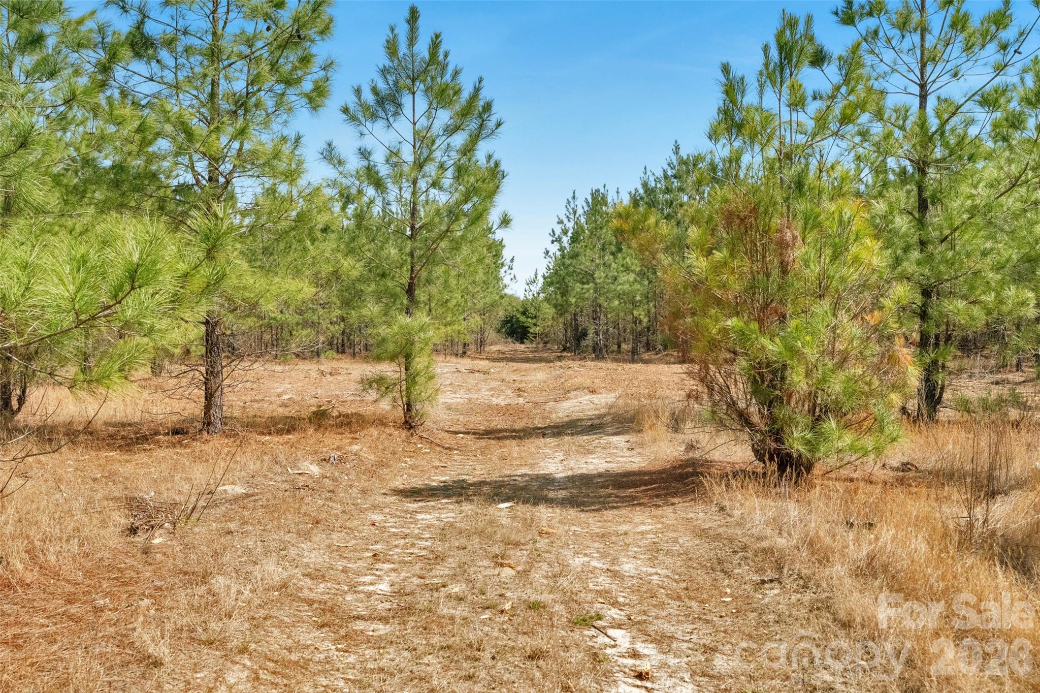 931 Charlie Johnson Road 2 Property Photo 28
