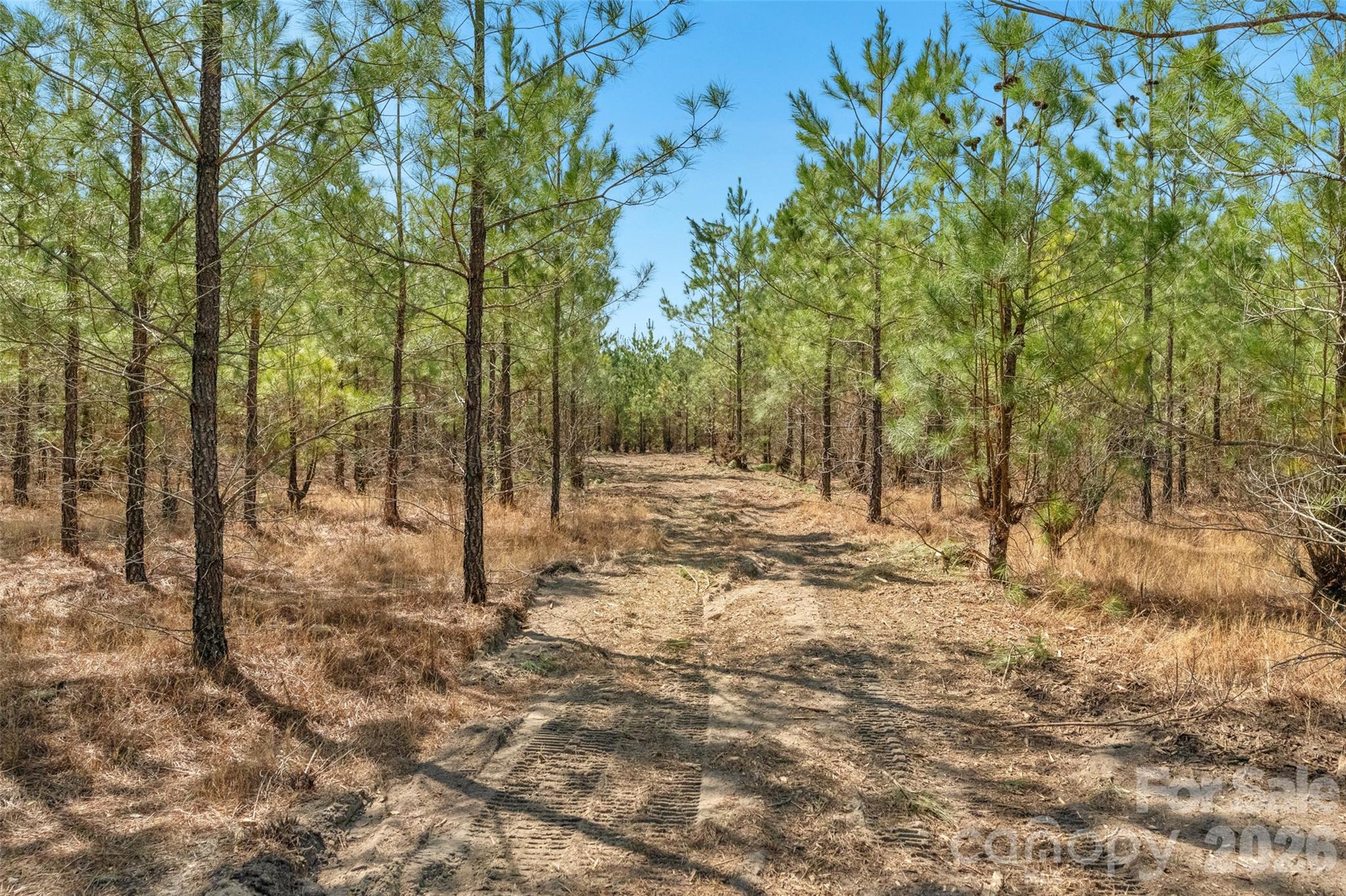 931 Charlie Johnson Road 2 Property Photo 32