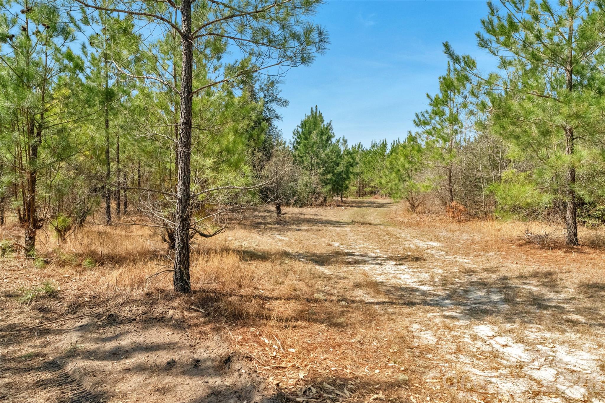 931 Charlie Johnson Road 2 Property Photo 33
