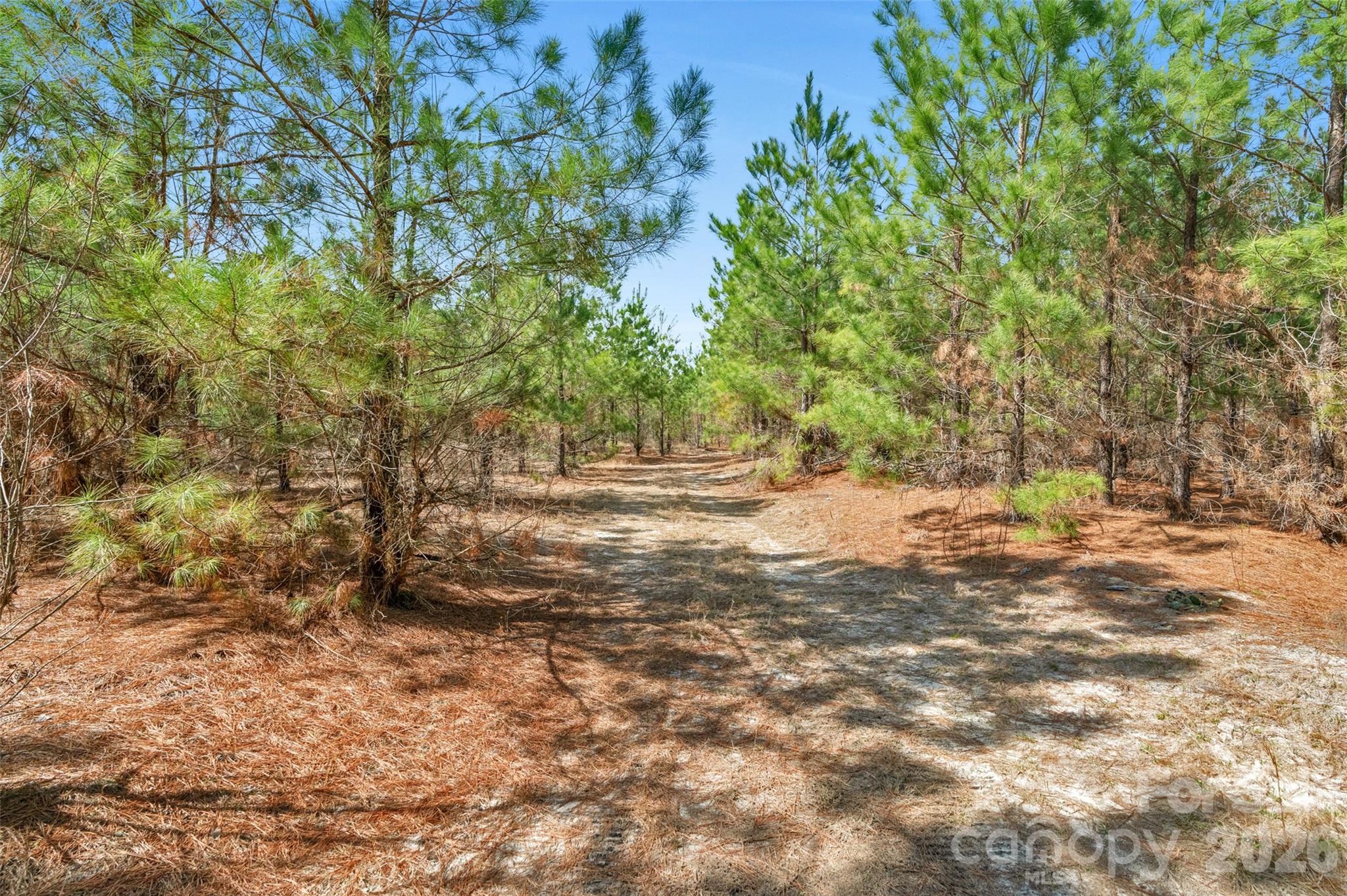 931 Charlie Johnson Road 7 Property Photo 9