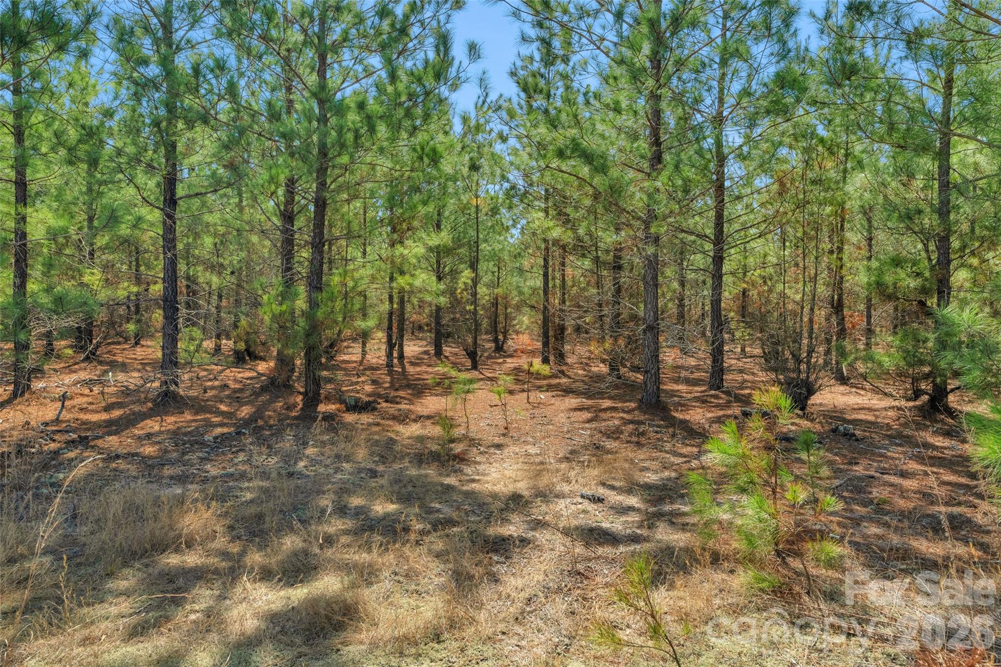 931 Charlie Johnson Road 7 Property Photo 10
