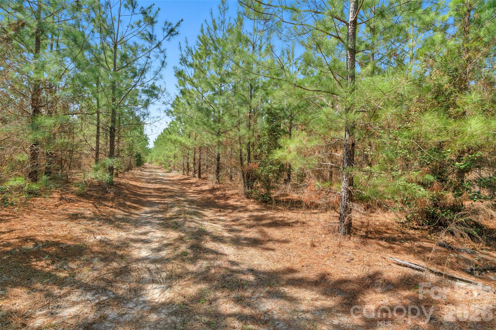 931 Charlie Johnson Road 7 Property Photo 11