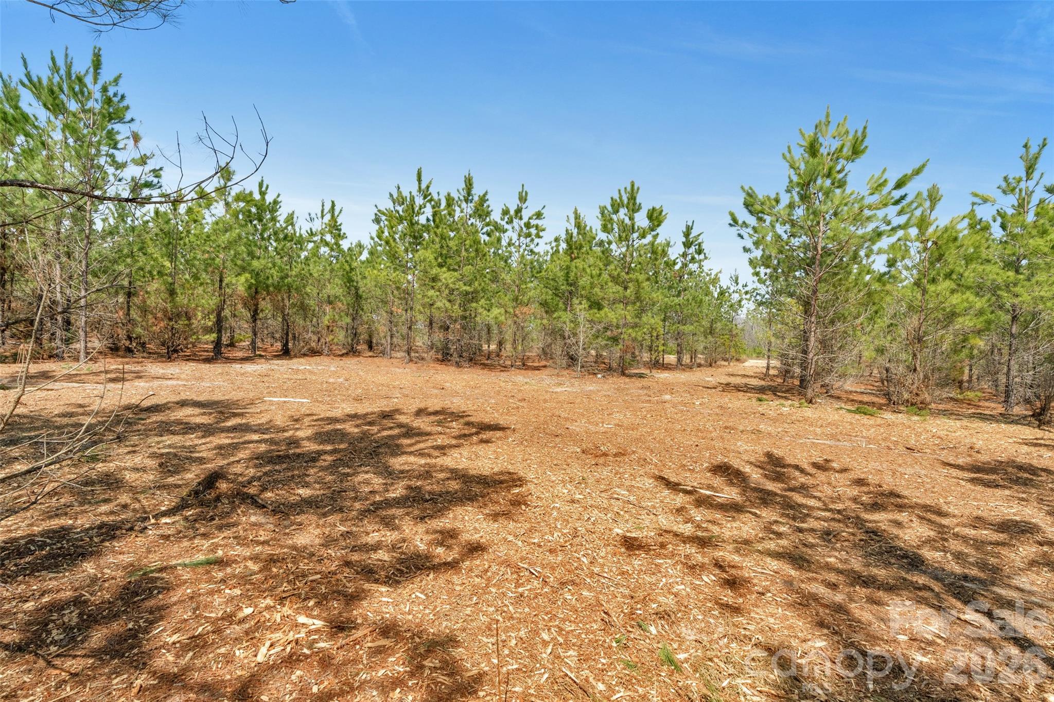 931 Charlie Johnson Road 7 Property Photo 12