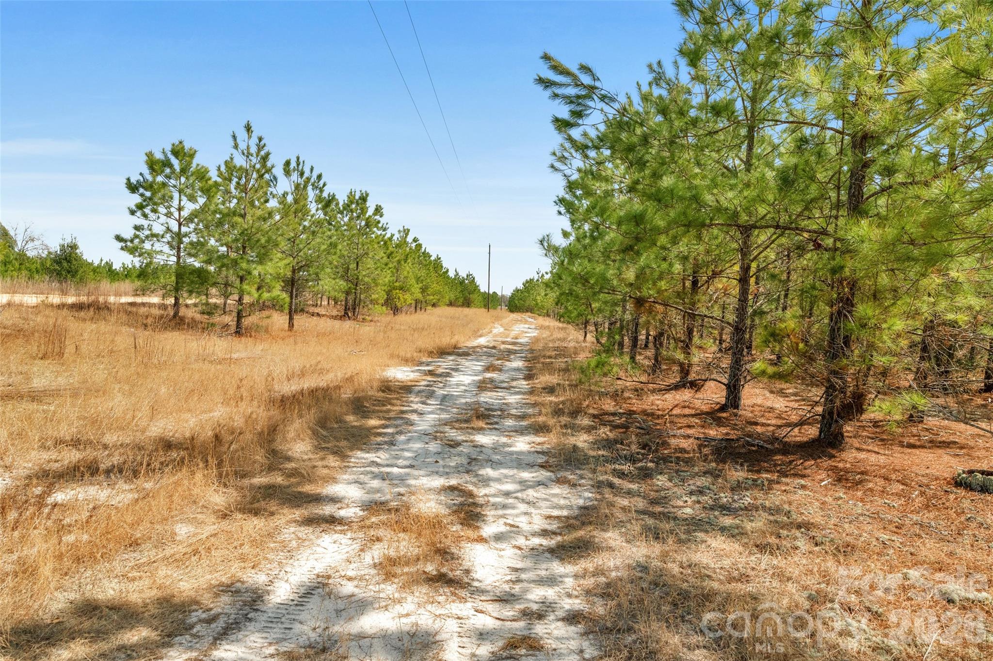931 Charlie Johnson Road 7 Property Photo 13