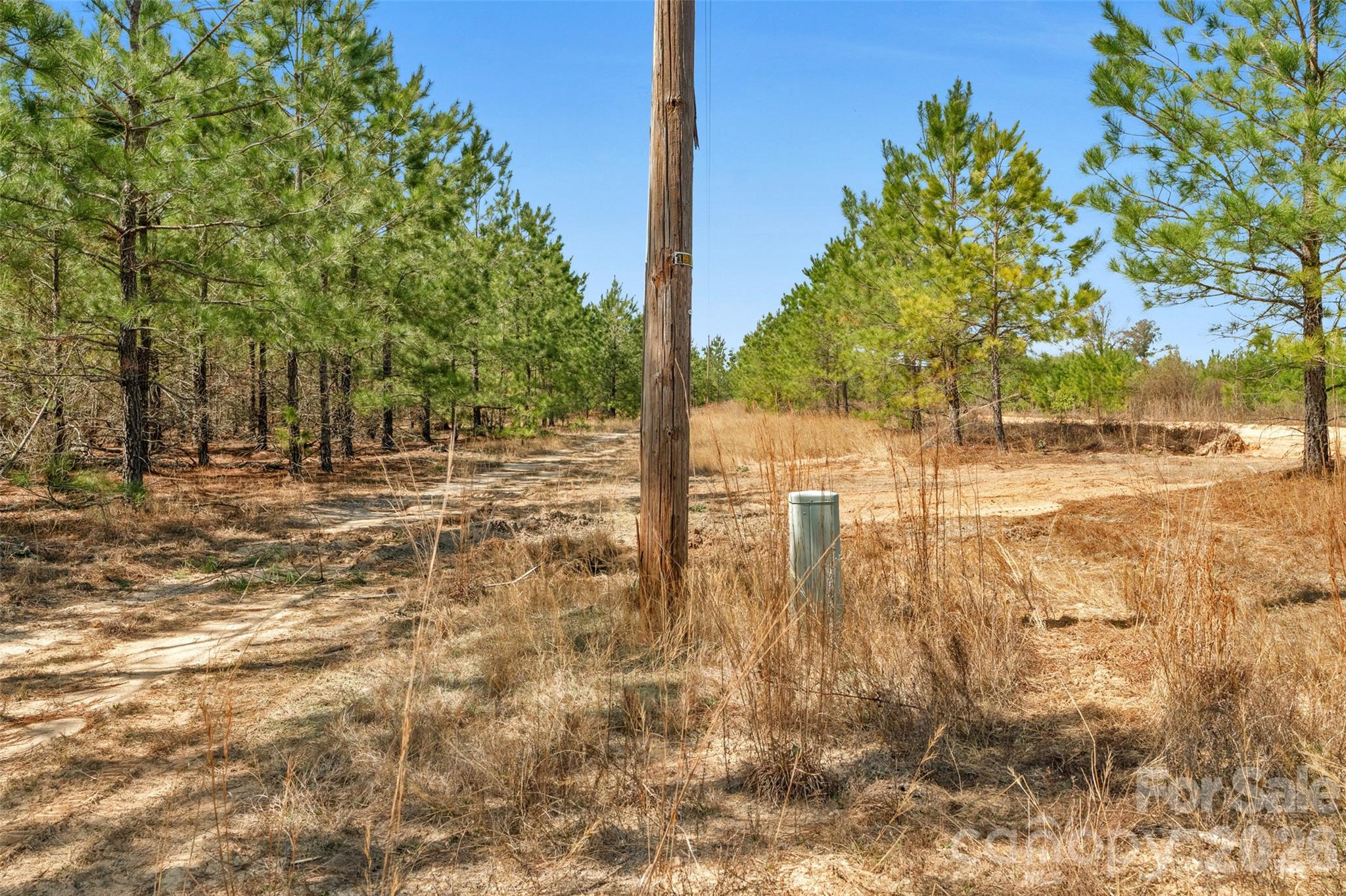 931 Charlie Johnson Road 7 Property Photo 15