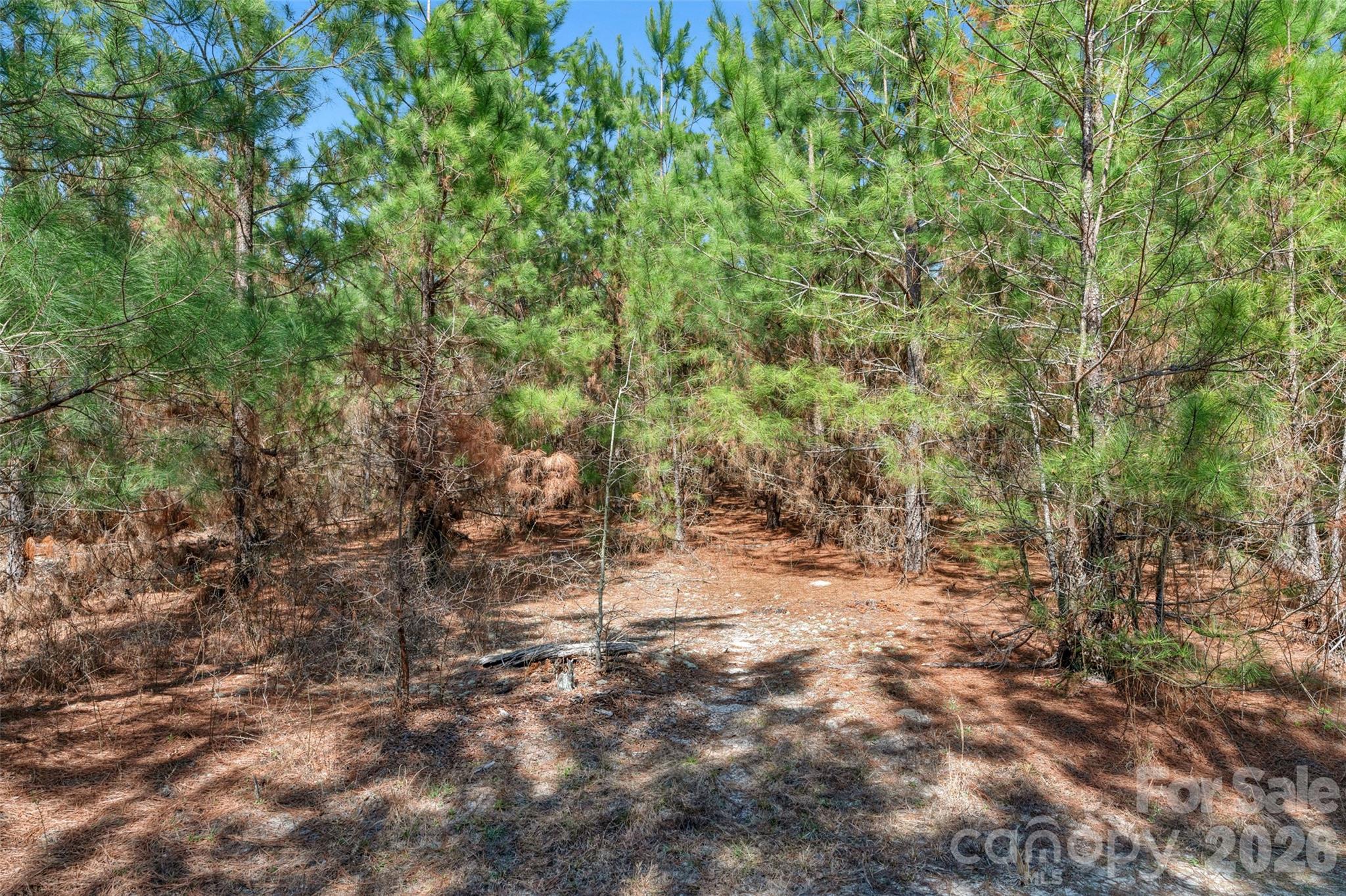 931 Charlie Johnson Road 7 Property Photo 16
