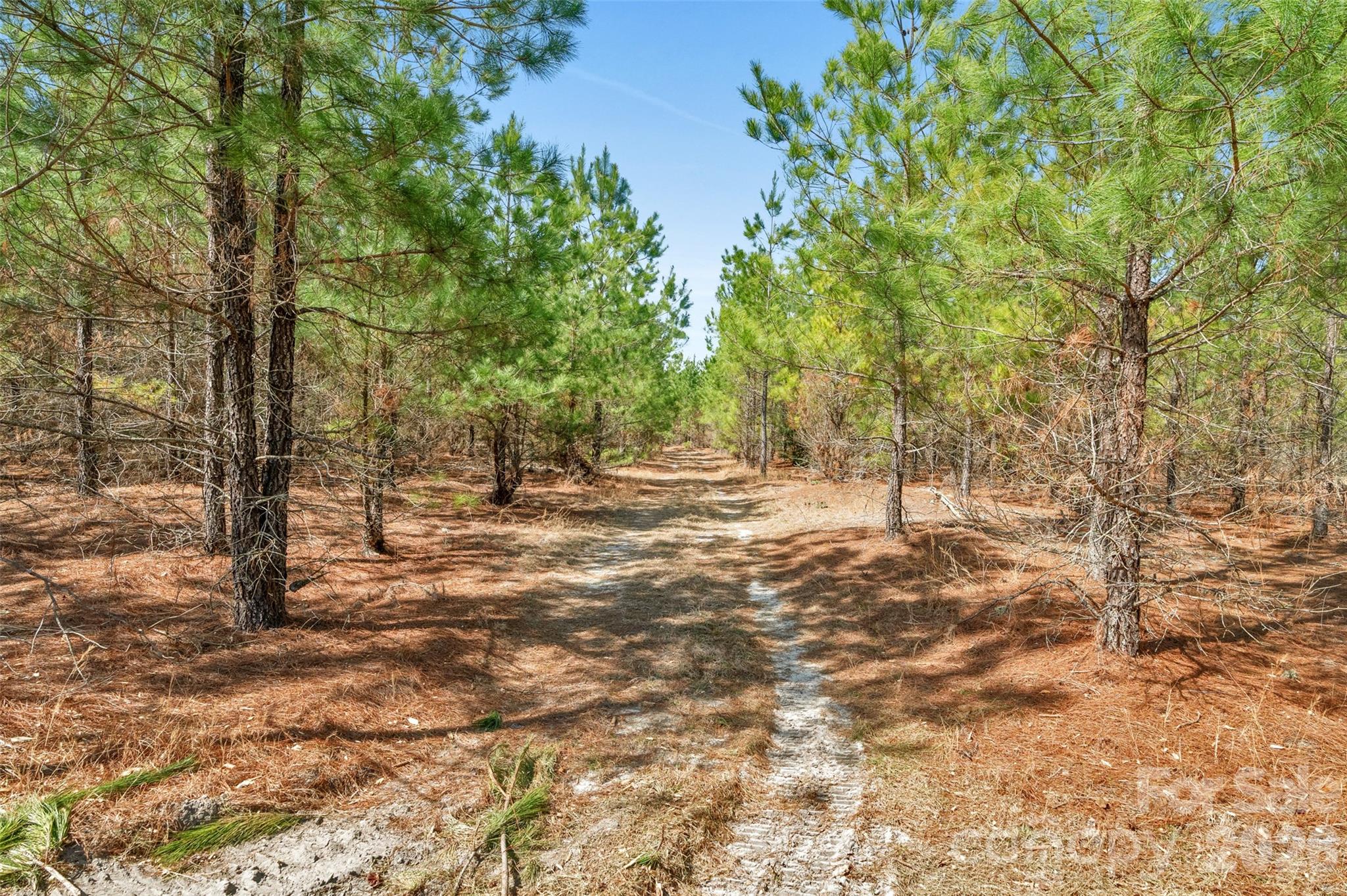 931 Charlie Johnson Road 7 Property Photo 17