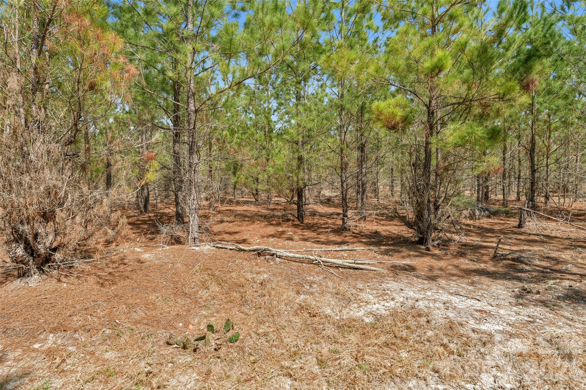 931 Charlie Johnson Road 7 Property Photo 18