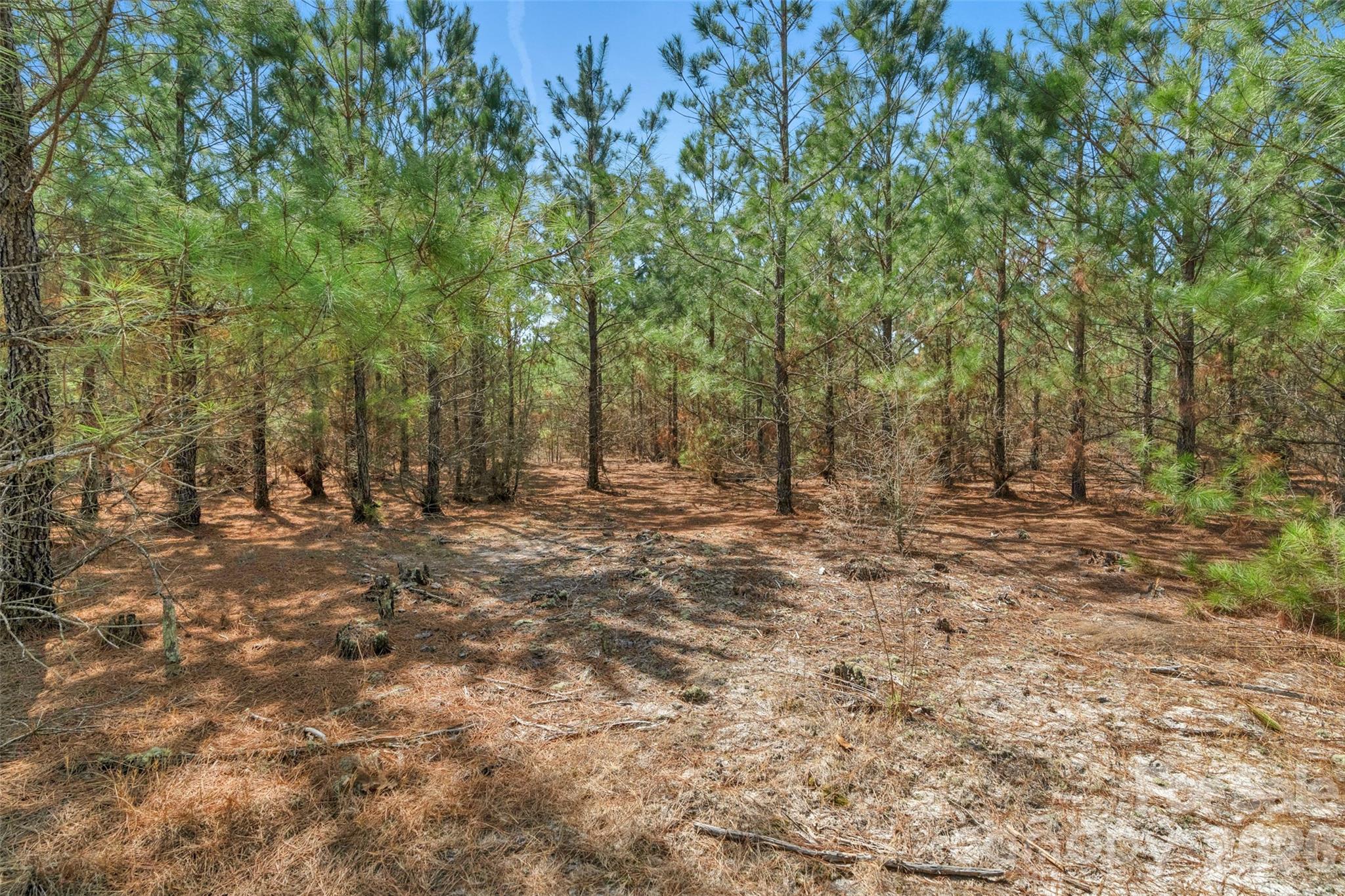 931 Charlie Johnson Road 7 Property Photo 19