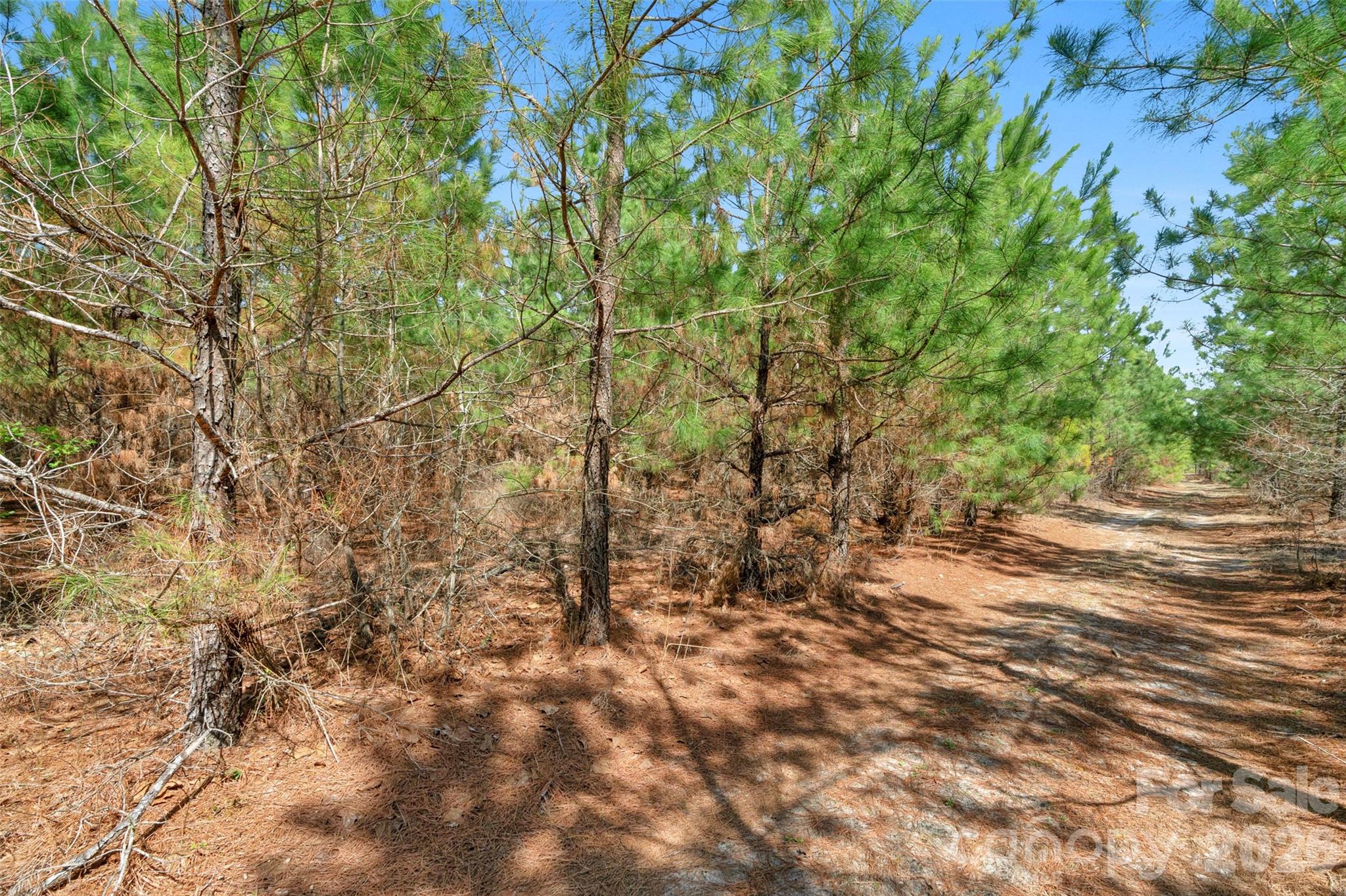 931 Charlie Johnson Road 7 Property Photo 20