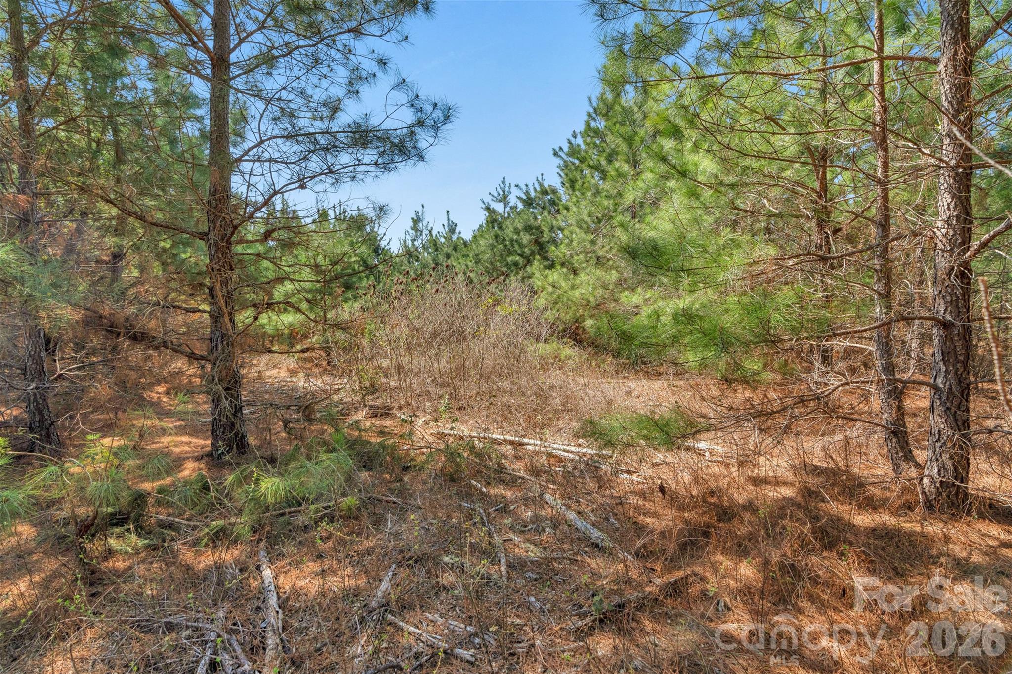 931 Charlie Johnson Road 7 Property Photo 22