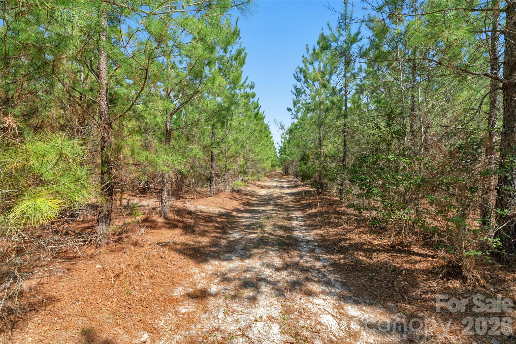 931 Charlie Johnson Road 7 Property Photo 23