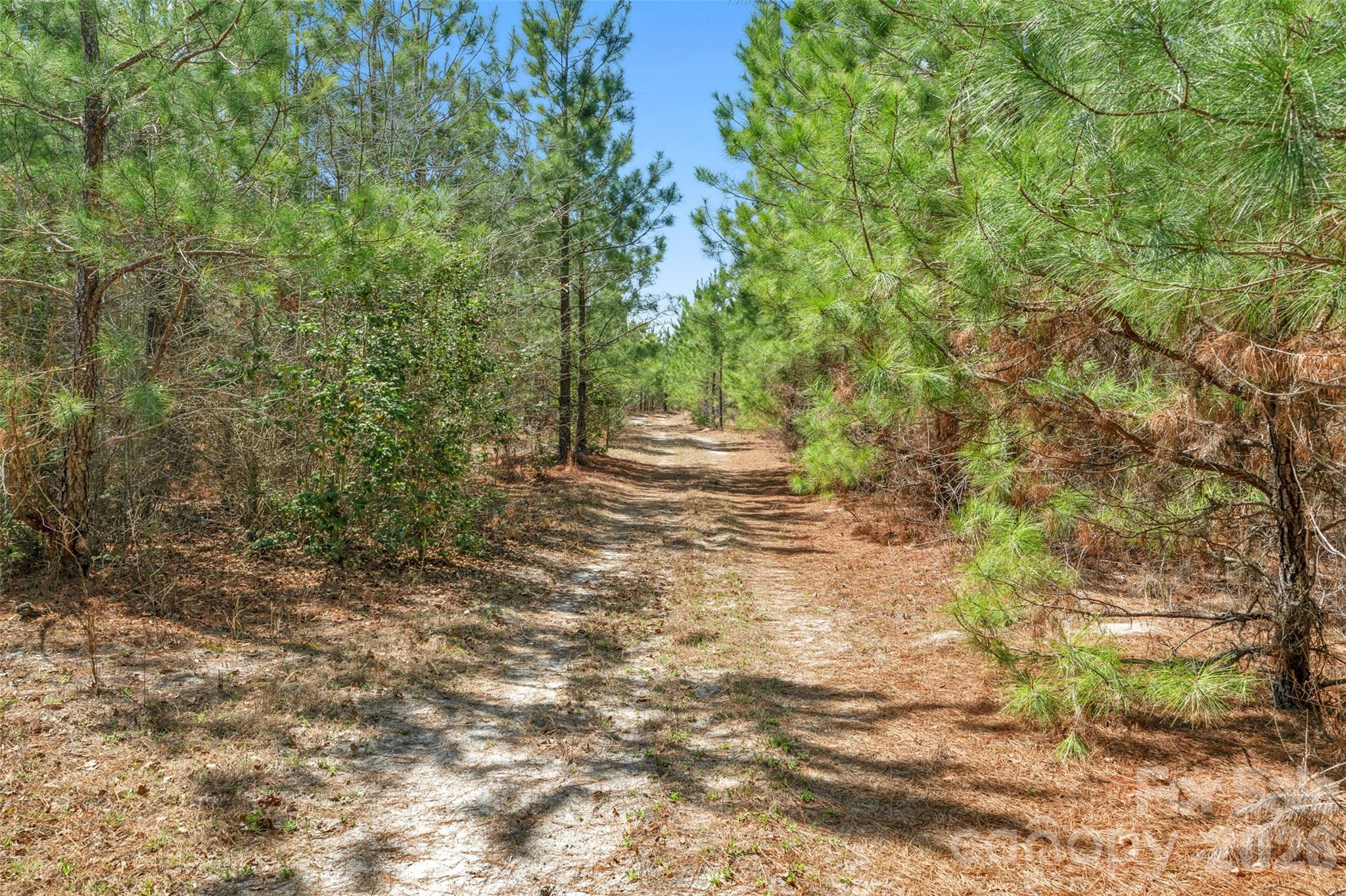 931 Charlie Johnson Road 7 Property Photo 24