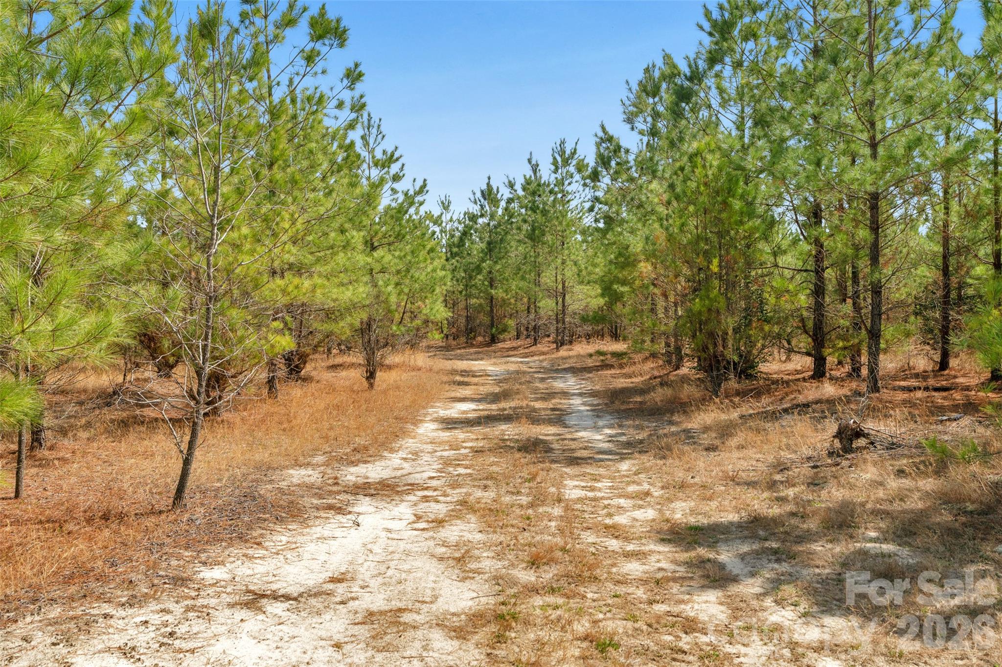 931 Charlie Johnson Road 7 Property Photo 25