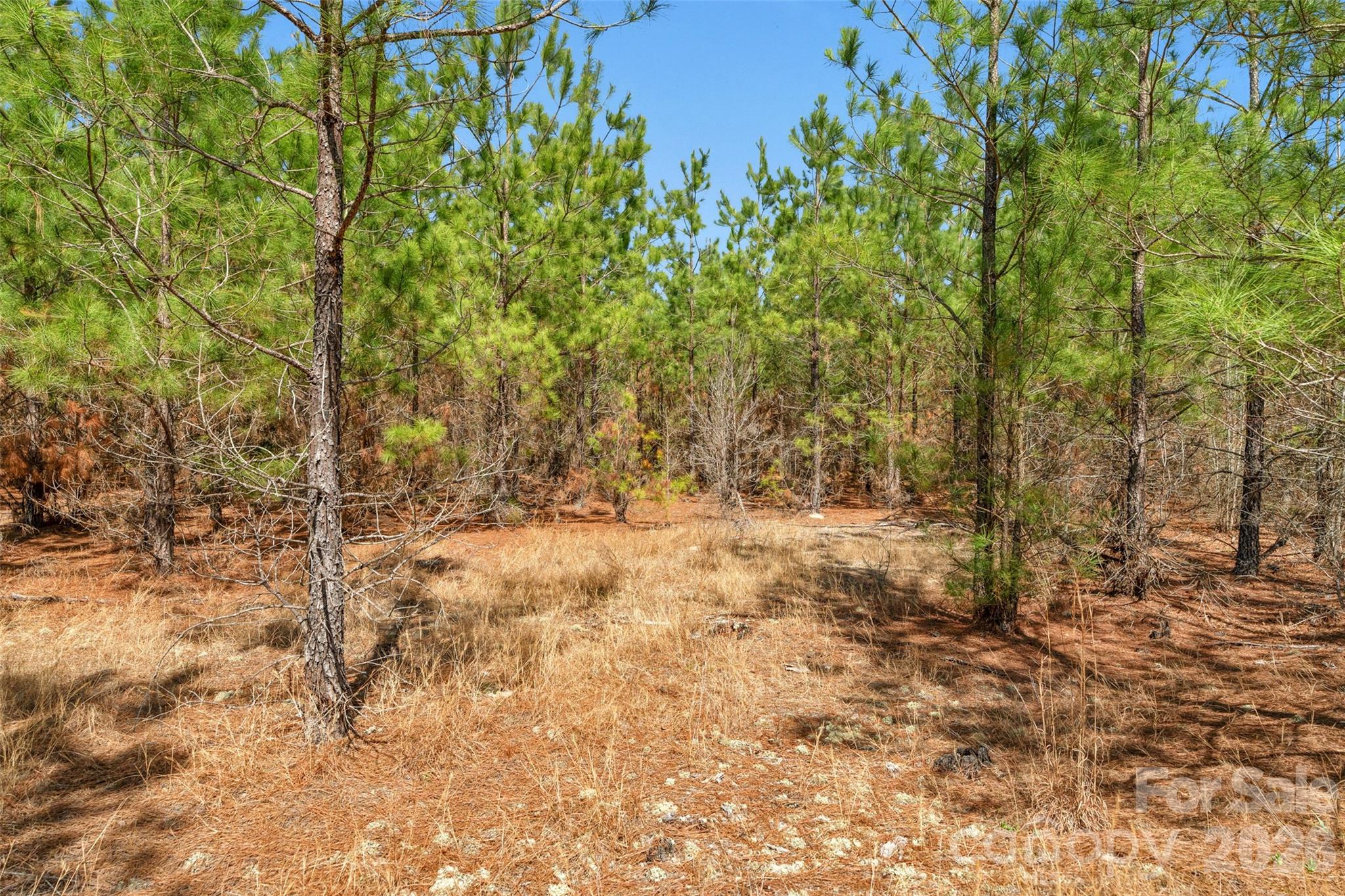 931 Charlie Johnson Road 7 Property Photo 26