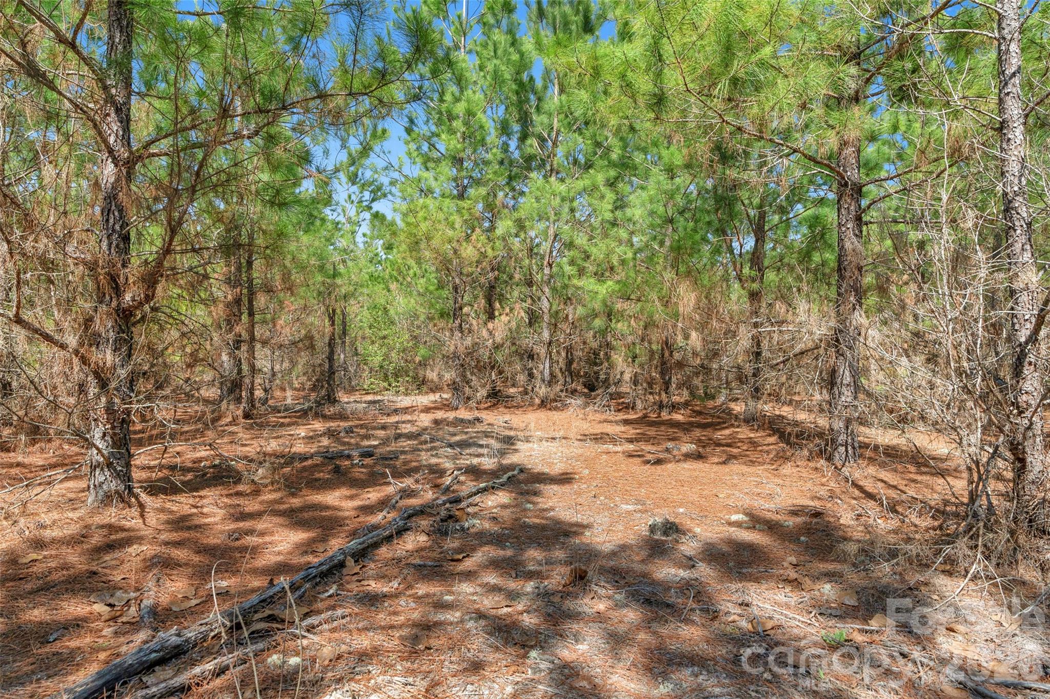 931 Charlie Johnson Road 7 Property Photo 27