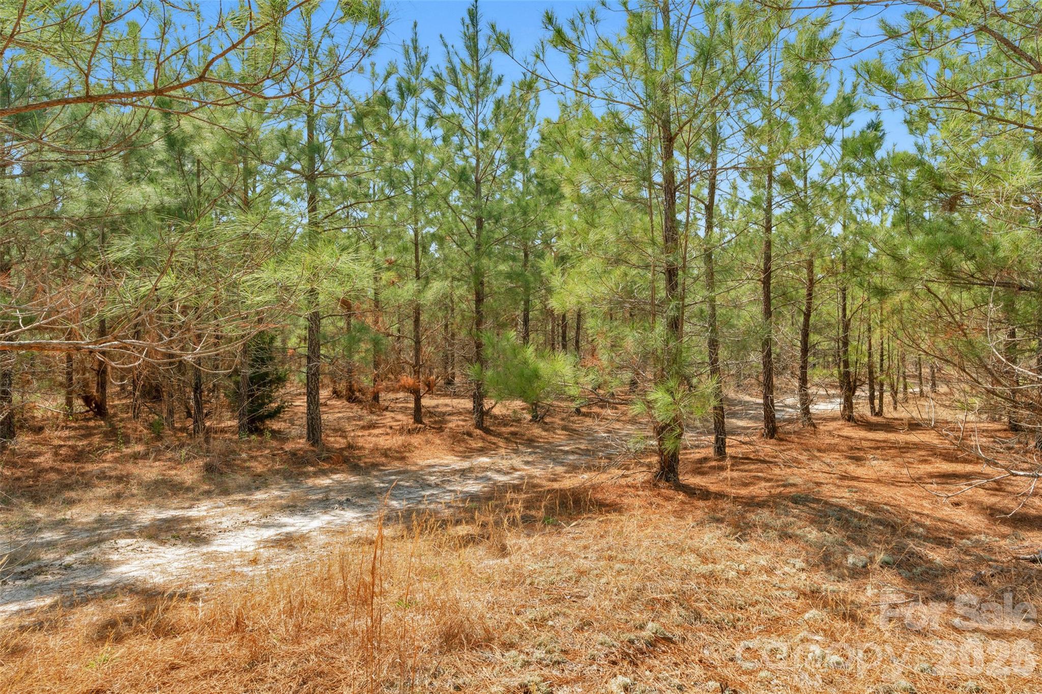 931 Charlie Johnson Road 7 Property Photo 28