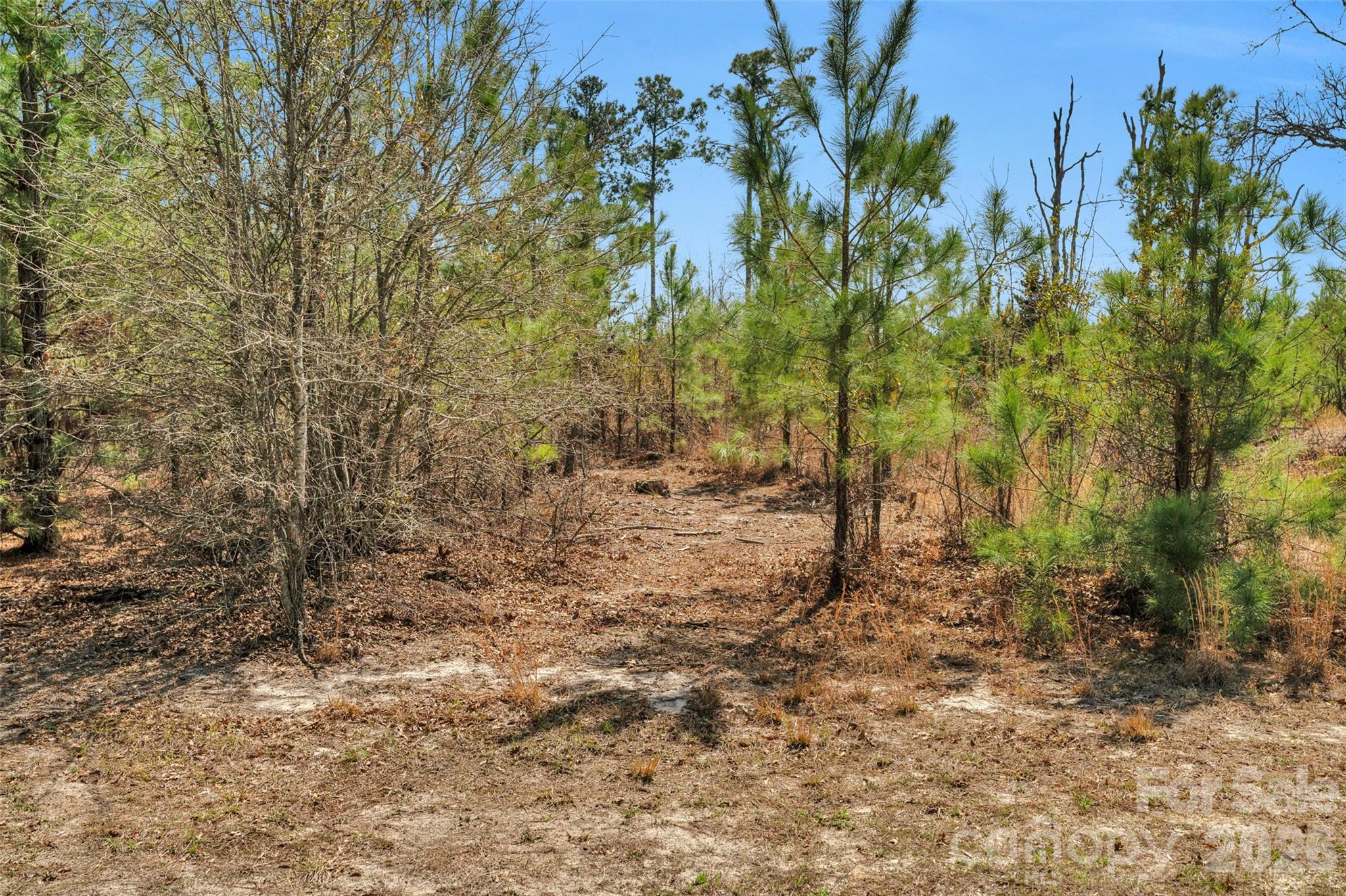 931 Charlie Johnson Road 7 Property Photo 29