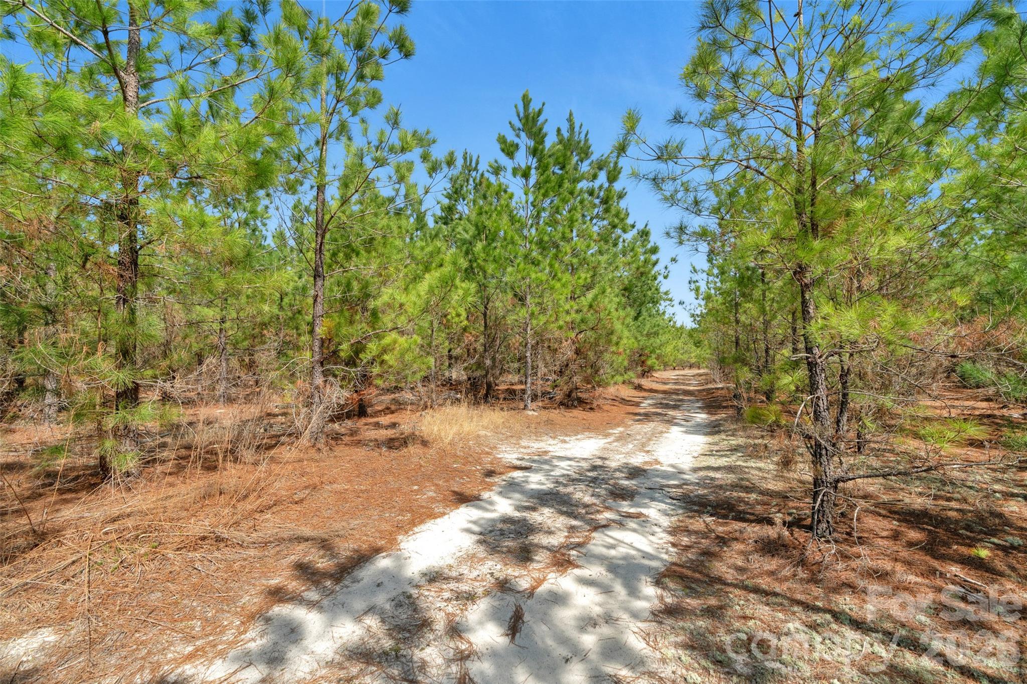 931 Charlie Johnson Road 7 Property Photo 30