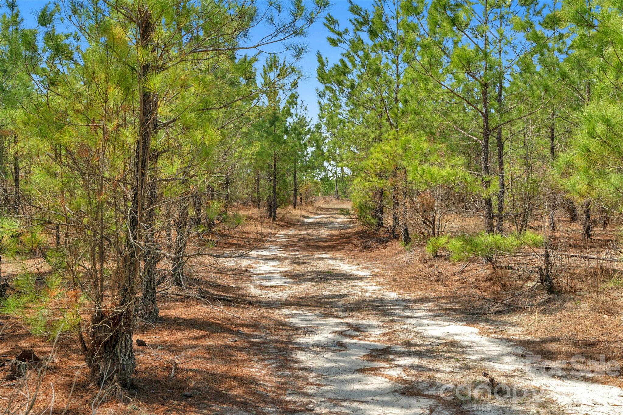 931 Charlie Johnson Road 7 Property Photo 31
