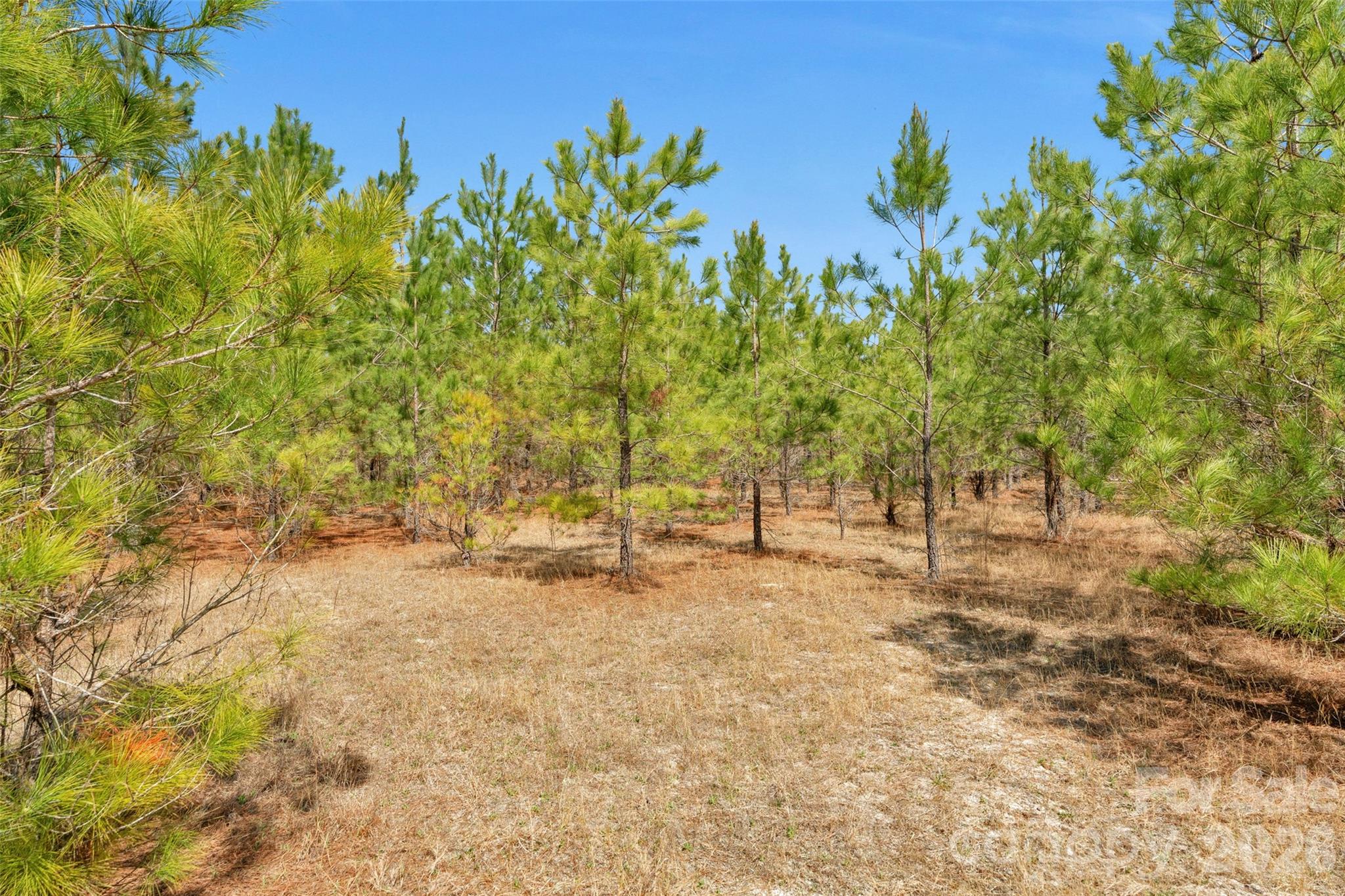 931 Charlie Johnson Road 7 Property Photo 32