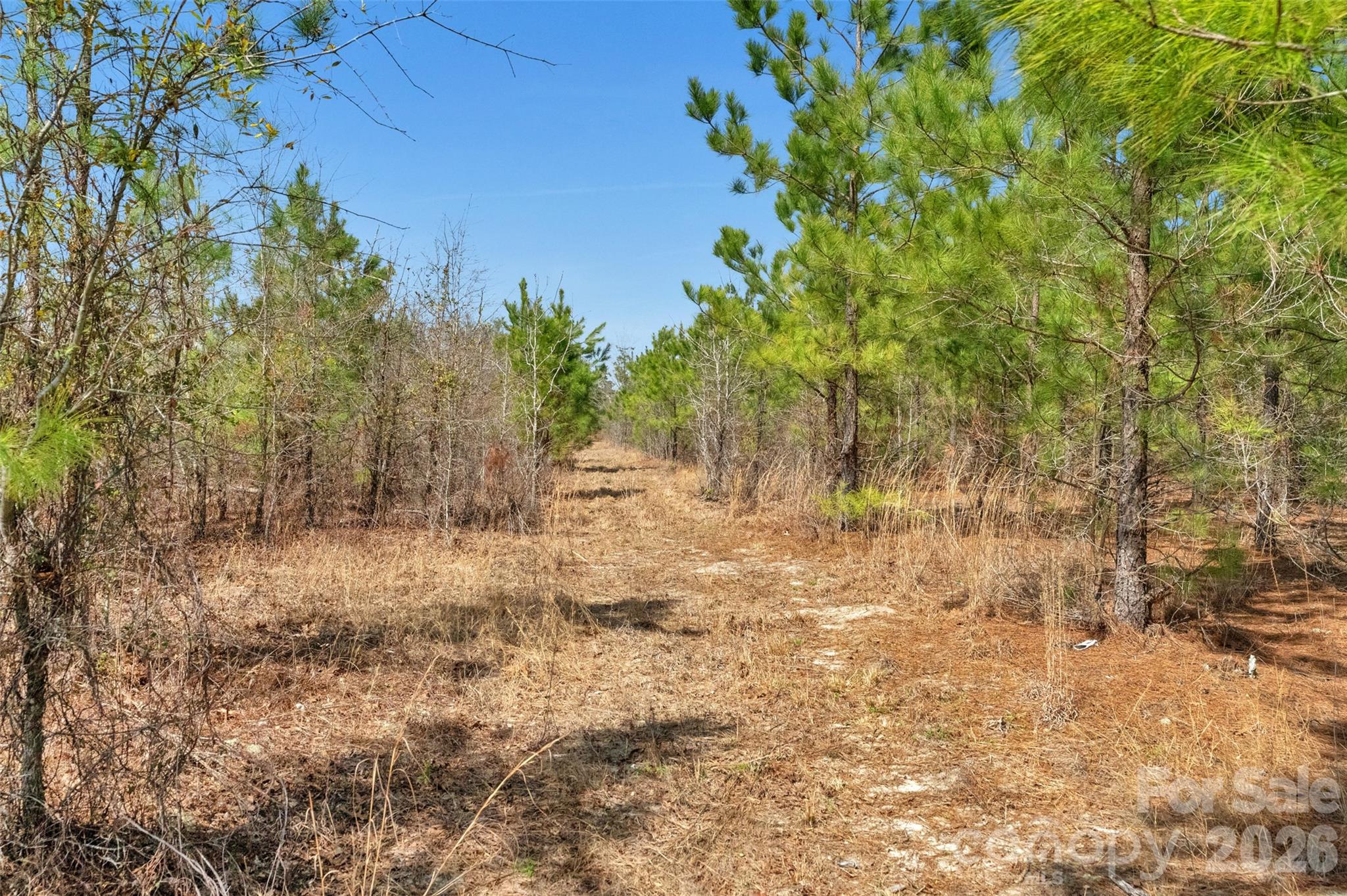 931 Charlie Johnson Road 7 Property Photo 33
