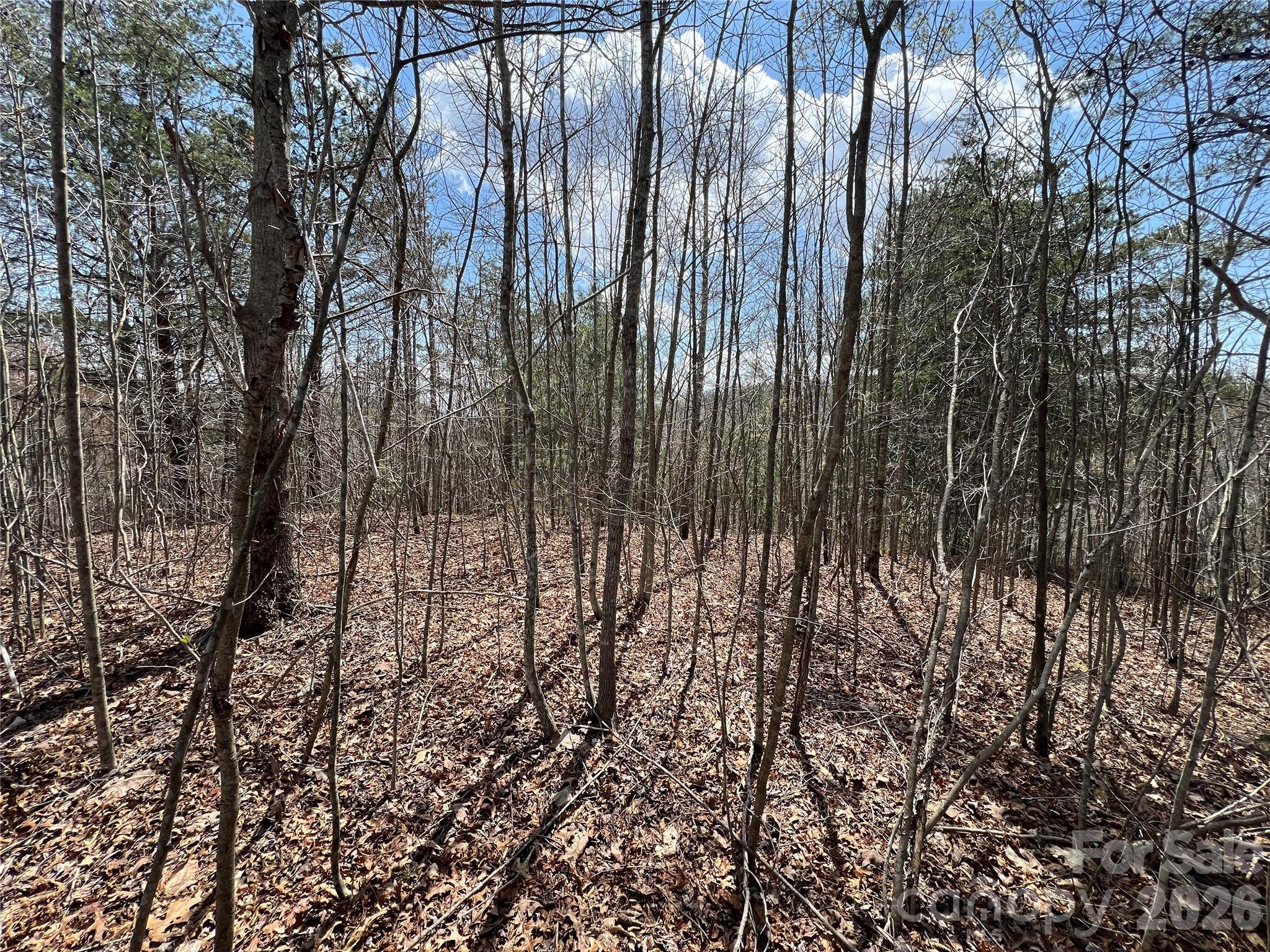 192 Pine Cone Trail 21 Property Photo 1
