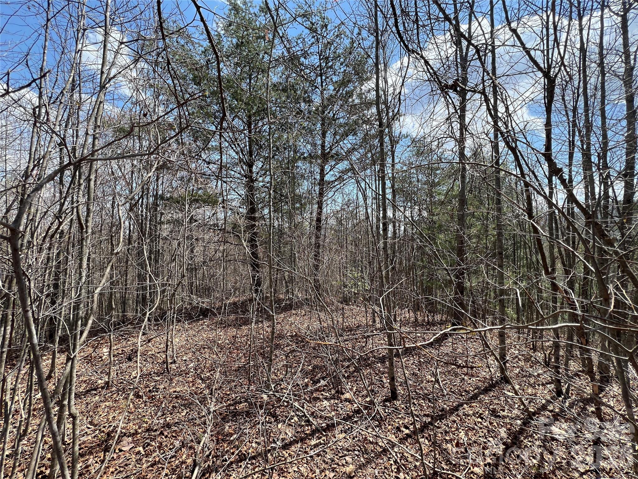 192 Pine Cone Trail 21 Property Photo 2