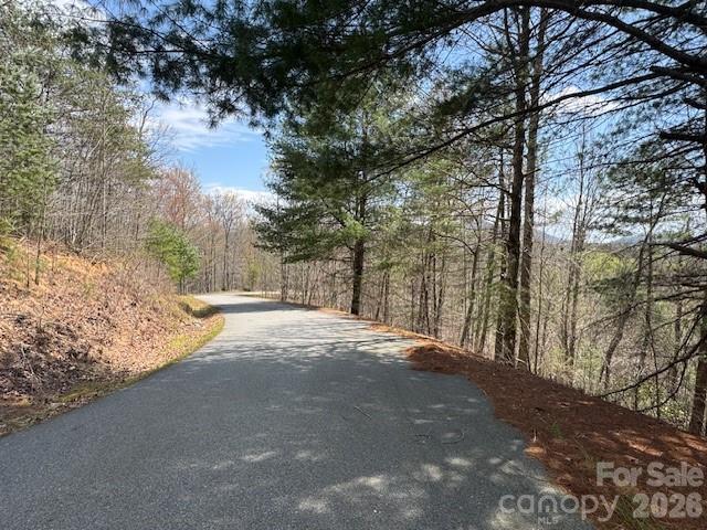 192 Pine Cone Trail 21 Property Photo 3