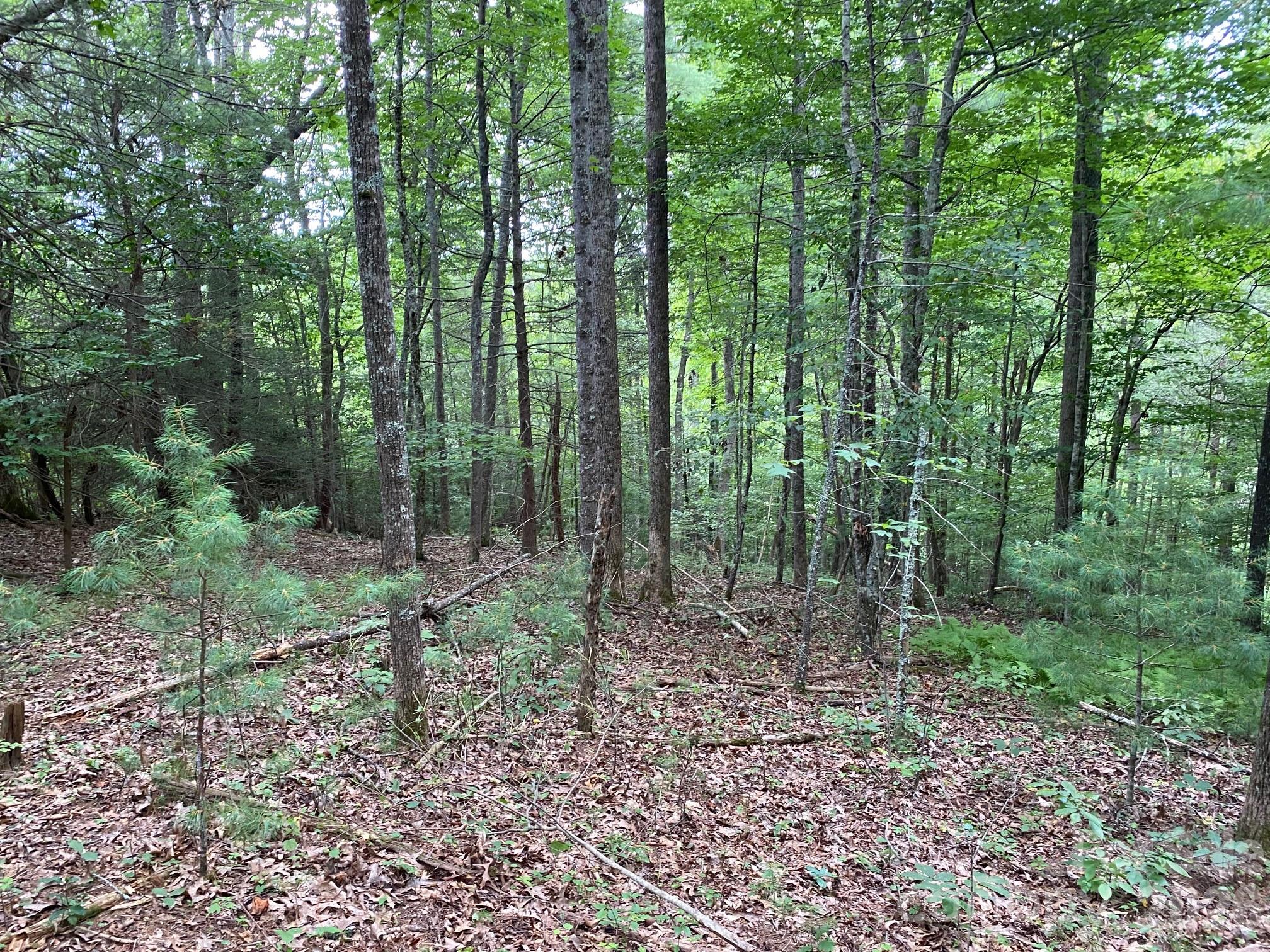 192 Pine Cone Trail 21 Property Photo 4