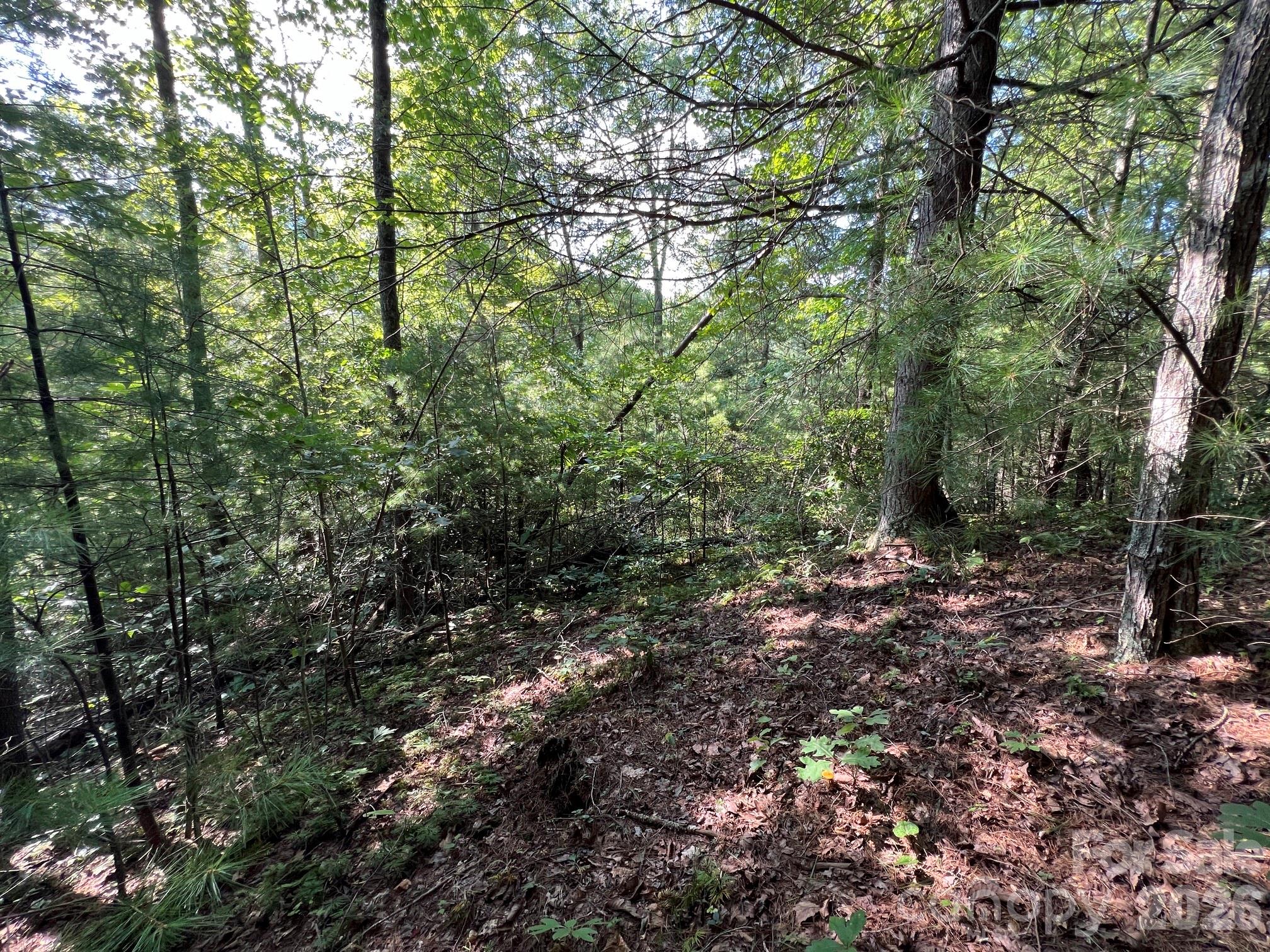 192 Pine Cone Trail 21 Property Photo 5