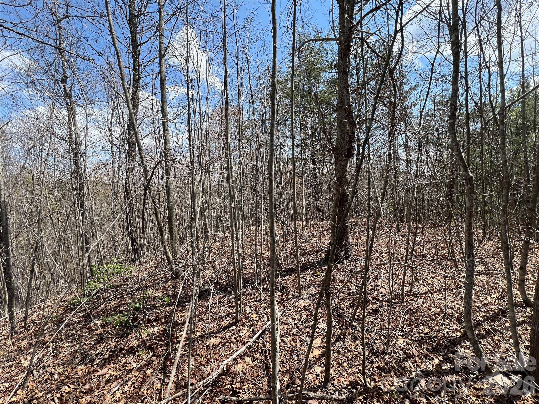 192 Pine Cone Trail 21 Property Photo 6