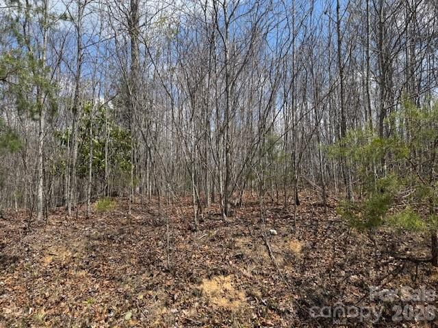 192 Pine Cone Trail 21 Property Photo 7