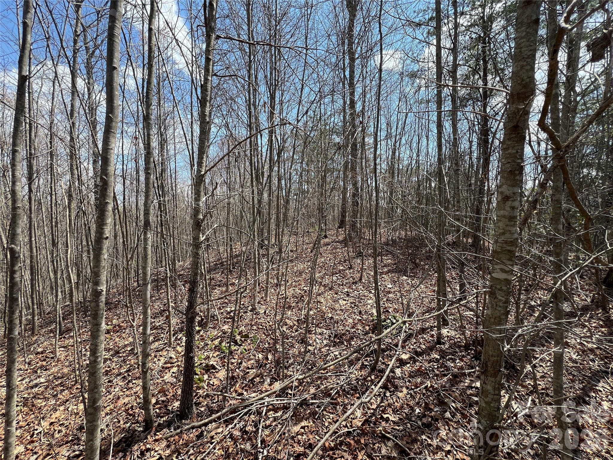 192 Pine Cone Trail 21 Property Photo 19