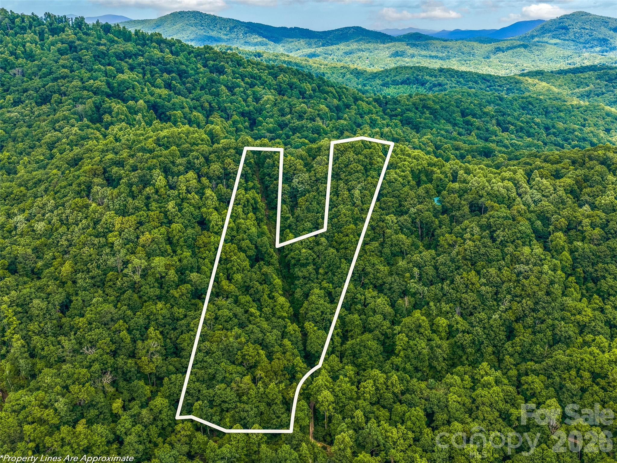 520 Patricia Road Property Photo 25