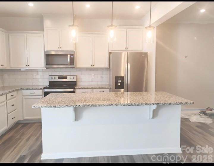 15640 Little Bluestem Street Property Photo 4