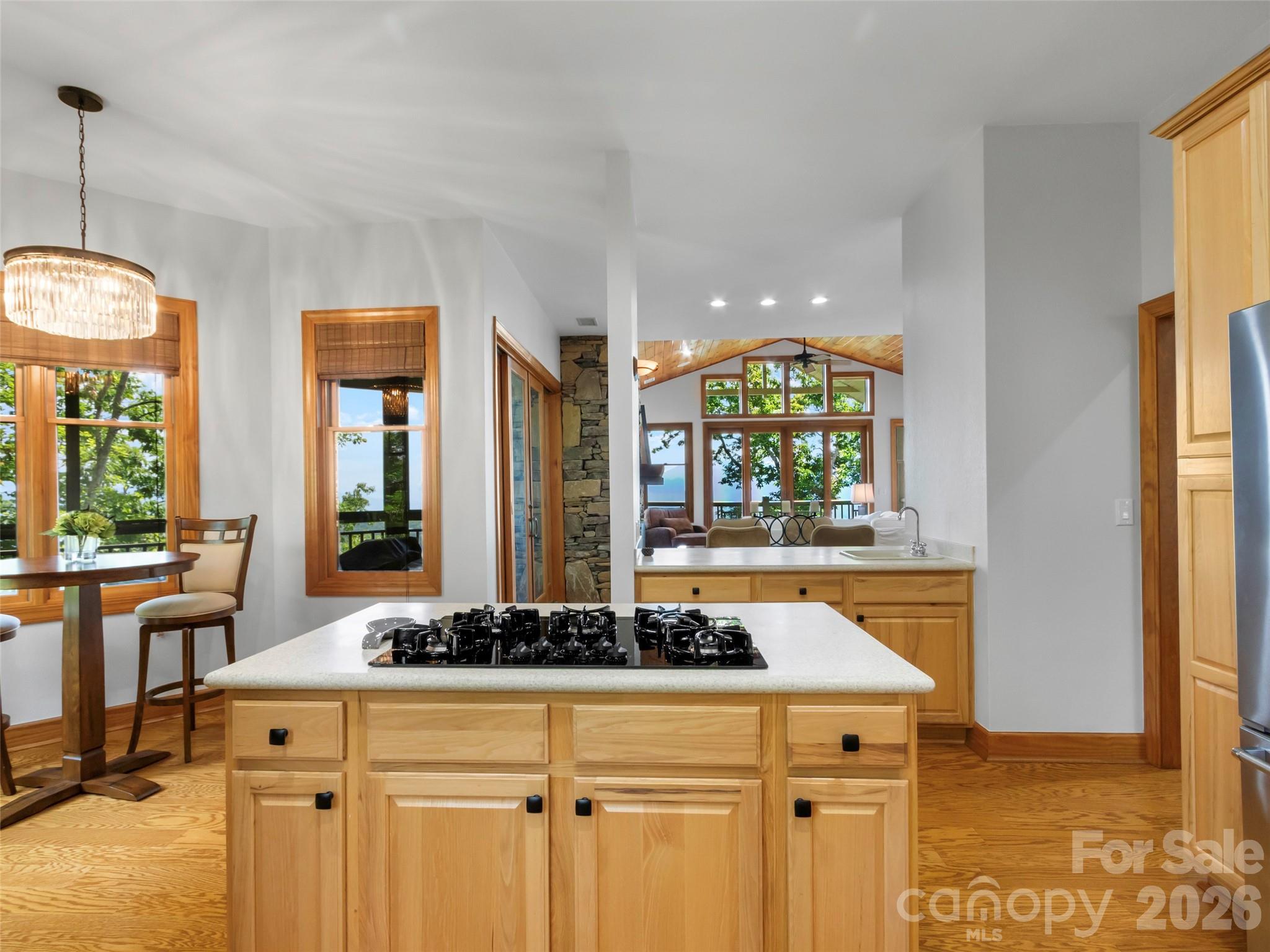 115 Stoney Falls Loop D1 Property Photo 15