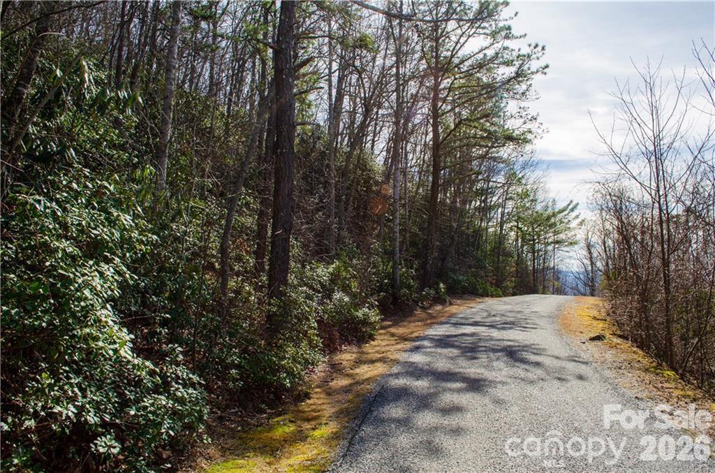 99999 Red Oak Forest Road 1418 Property Photo 4