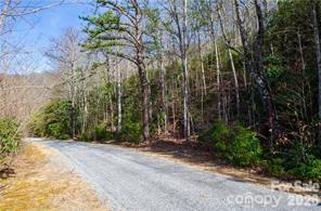99999 Red Oak Forest Road 1418 Property Photo 5