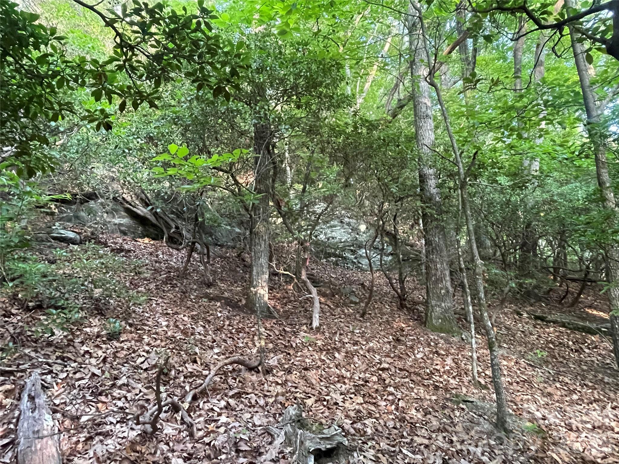 99999 Red Oak Forest Road 1418 Property Photo 6
