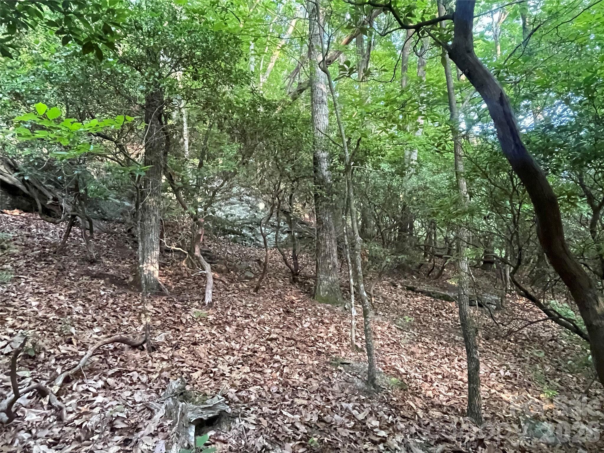 99999 Red Oak Forest Road 1418 Property Photo 14