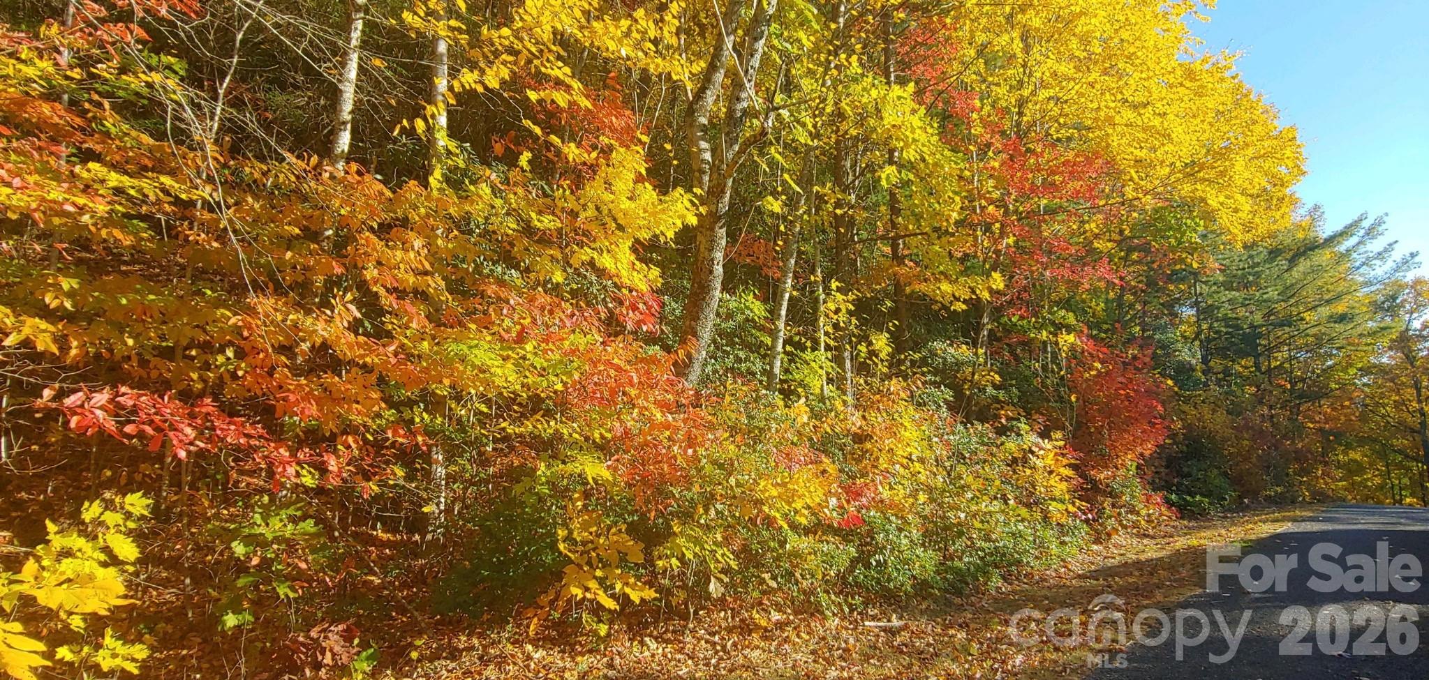 99999 Red Oak Forest Road 1418 Property Photo 16