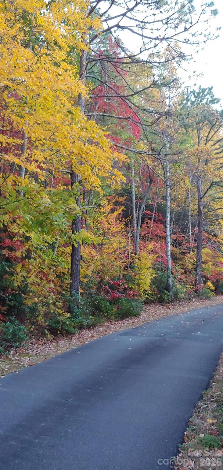 99999 Red Oak Forest Road 1418 Property Photo 17